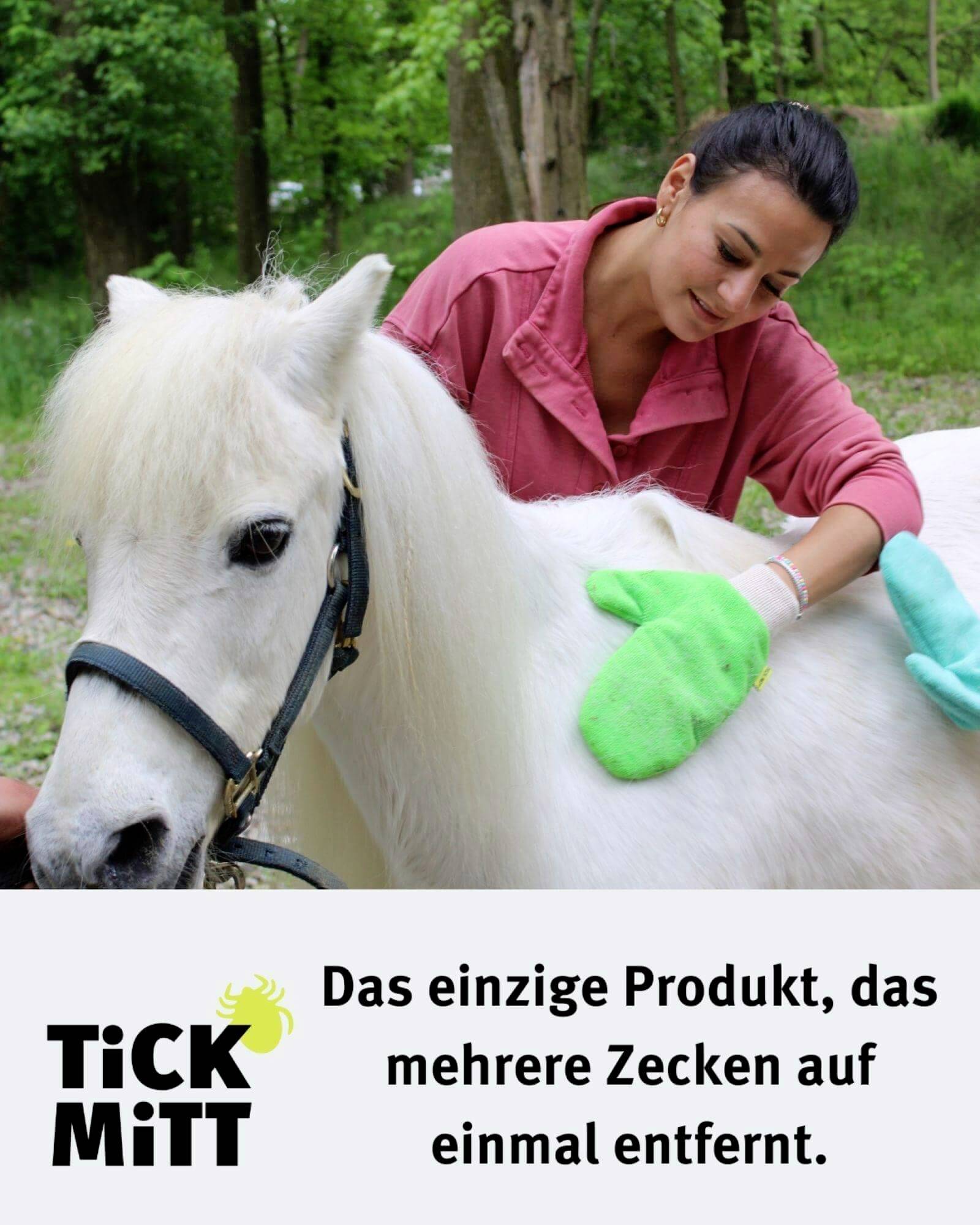Frau bürstet weißes Pony im Freien. Text unten: 'Das einzige Produkt, das mehrere Zecken auf einmal entfernt.'
