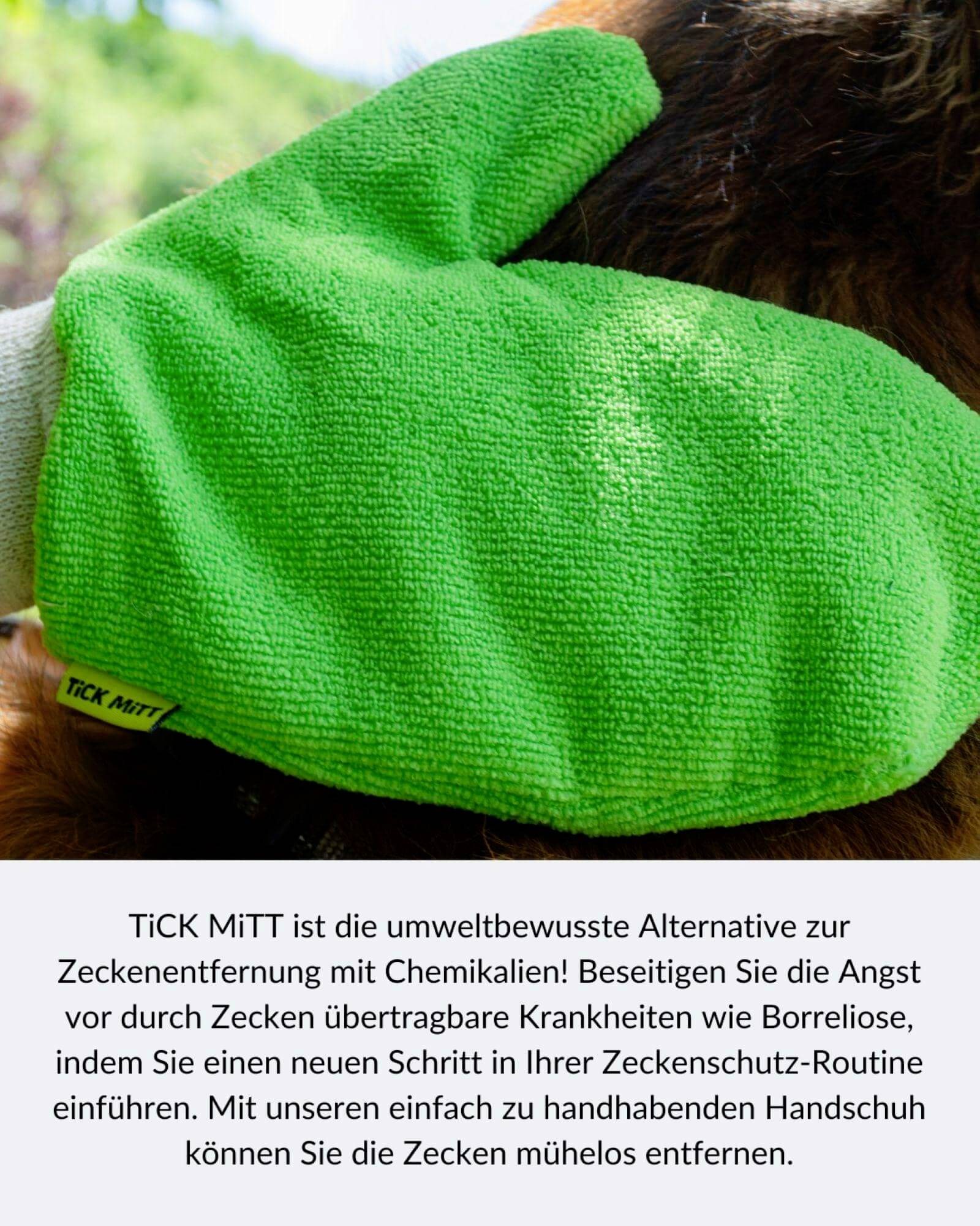 Grüne Handschuh mit Aufschrift 'TICK MITT' wird zur Zeckenentfernung vom Fell eines Tieres verwendet. Text beschreibt chemiefreien Schutz.
