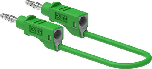 Electro PJP 2112-CD1-25V Messleitung 25 cm Grün 1 St.