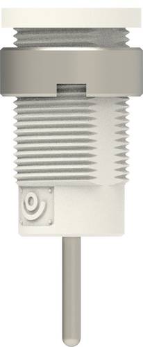 Electro PJP 3267-C-CD1-BC Sicherheits-Einbaubuchse Weiß 1 St.