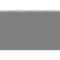 Faller 272313 N Gehweg (L x B) 300mm x 120mm Faller 272313 N Gehweg (L x B) 300mm x 120mm