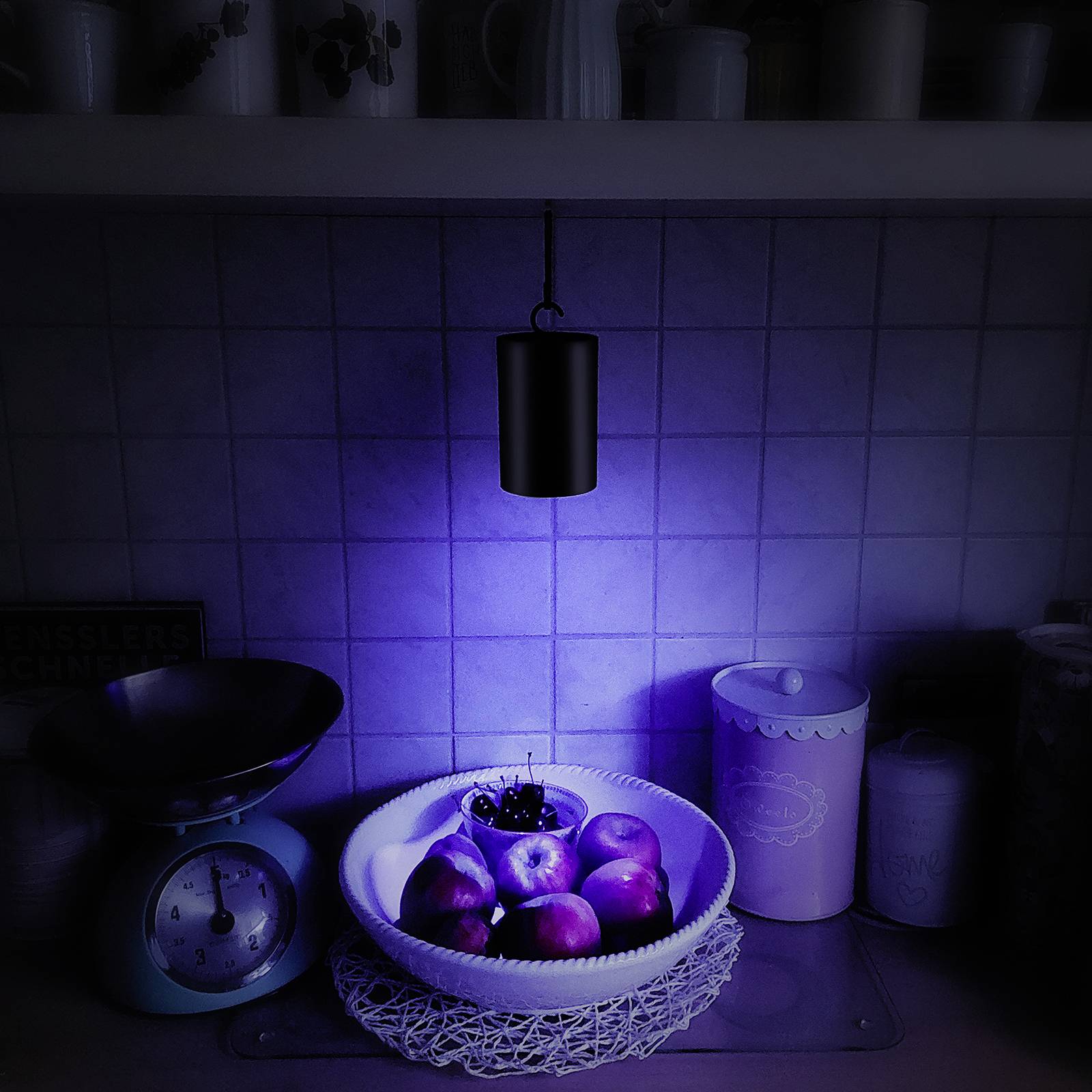 Ein beleuchteter Korb mit lila Äpfeln steht auf einer Küchenarbeitsfläche. Im Hintergrund eine Waage und Vorratsdosen.