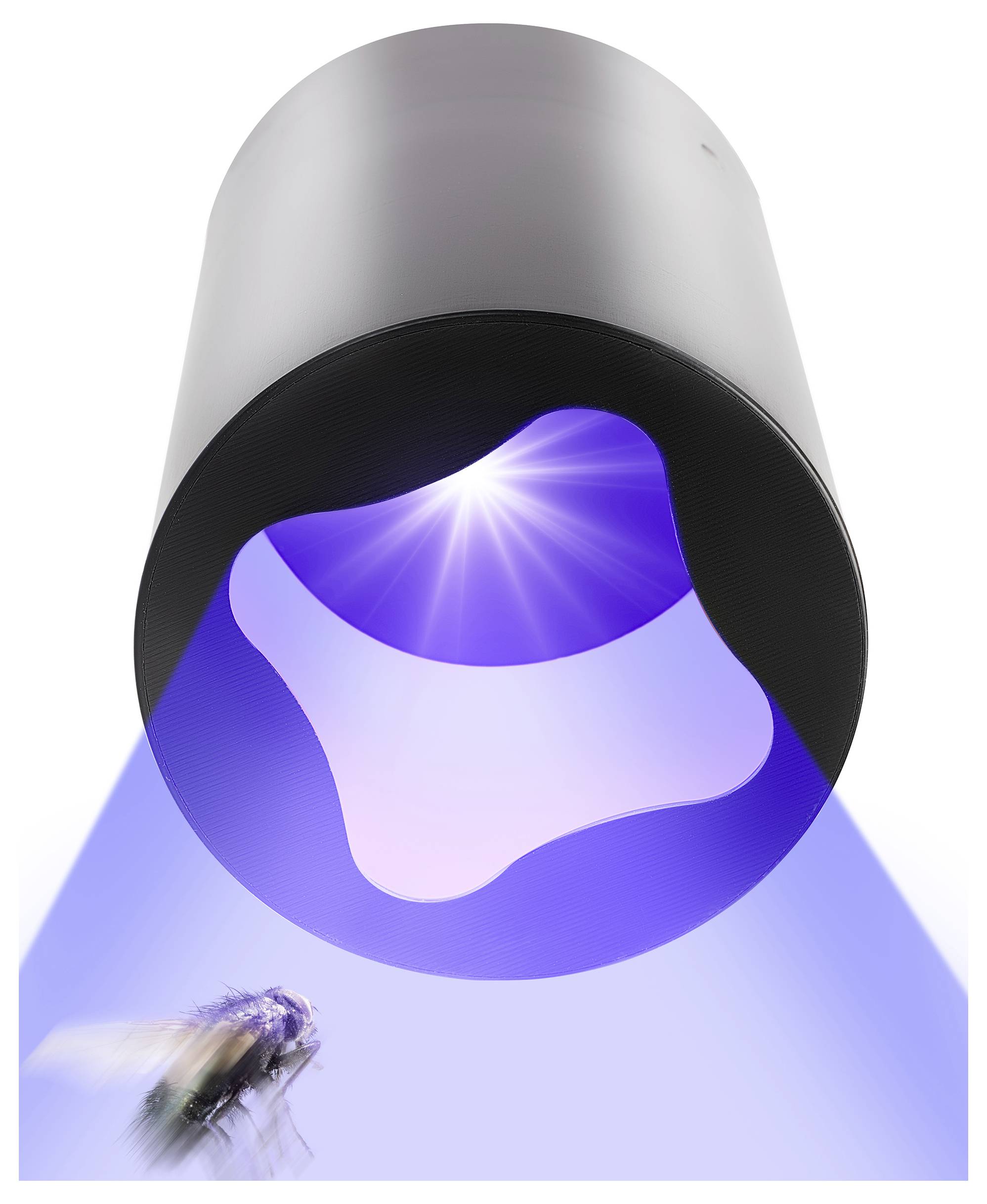 Ein futuristisches Gerät projiziert einen blauen Lichtstrahl, in dem eine Fliege fliegt. Der Lichtstrahl wirkt energiegeladen.