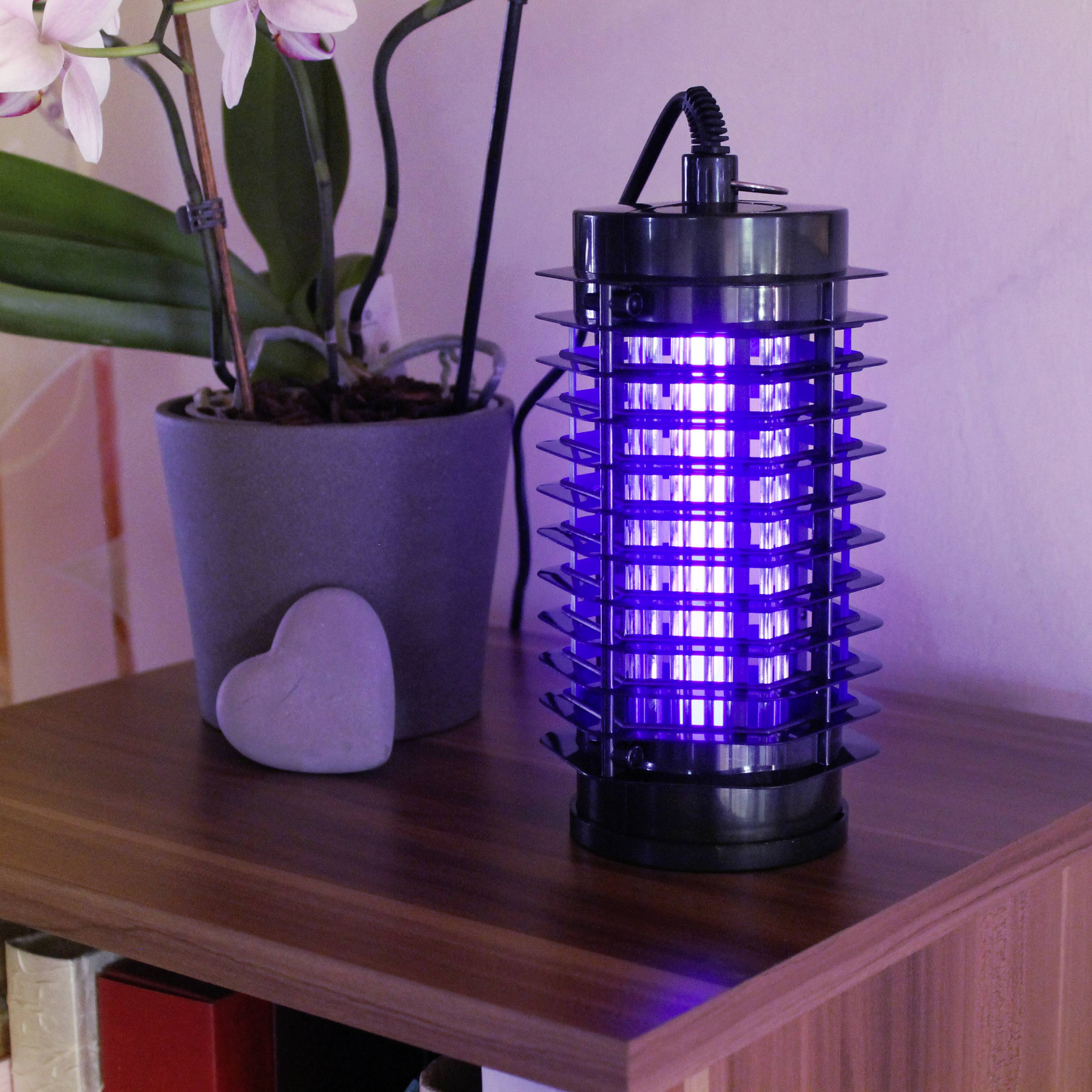 Elektrischer Insektenvernichter auf einem Holzregal neben einer Pflanze in einem grauen Topf. Der Vernichter leuchtet blau.