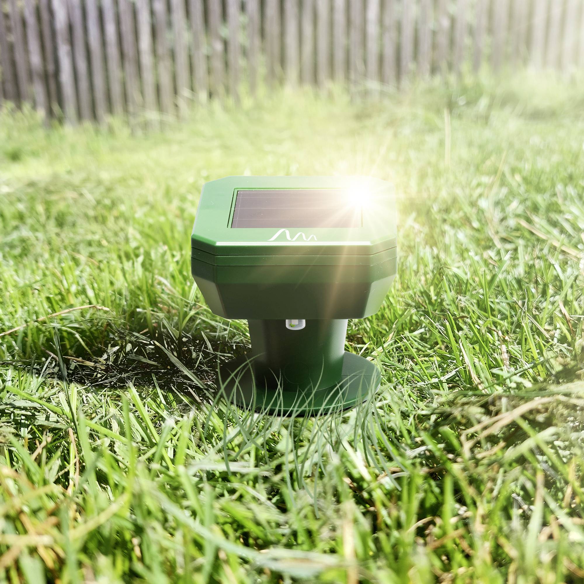 Ein solarbetriebener Maulwurfschreck steht auf einer sonnigen Rasenfläche. Im Hintergrund ist ein Holzzaun zu sehen.