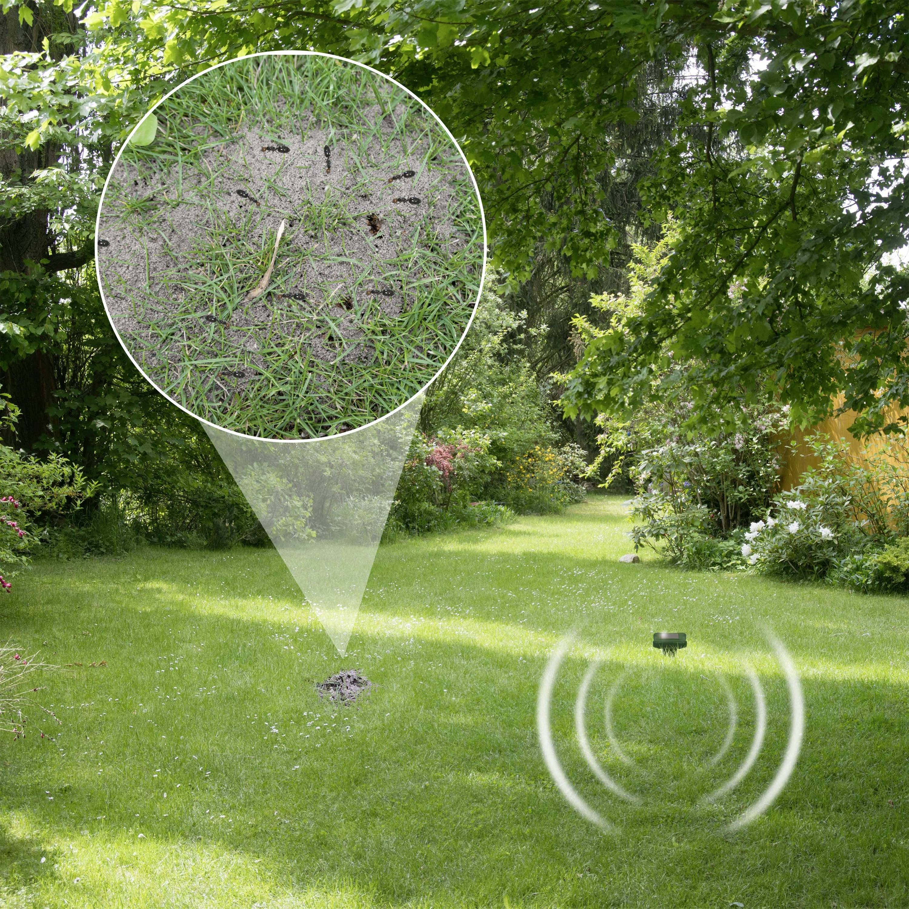 Ein Garten mit grünem Rasen und Bäumen. Eine Lupe zeigt Ameisen auf dem Boden. Ein Sensor im Rasen sendet Signale aus.