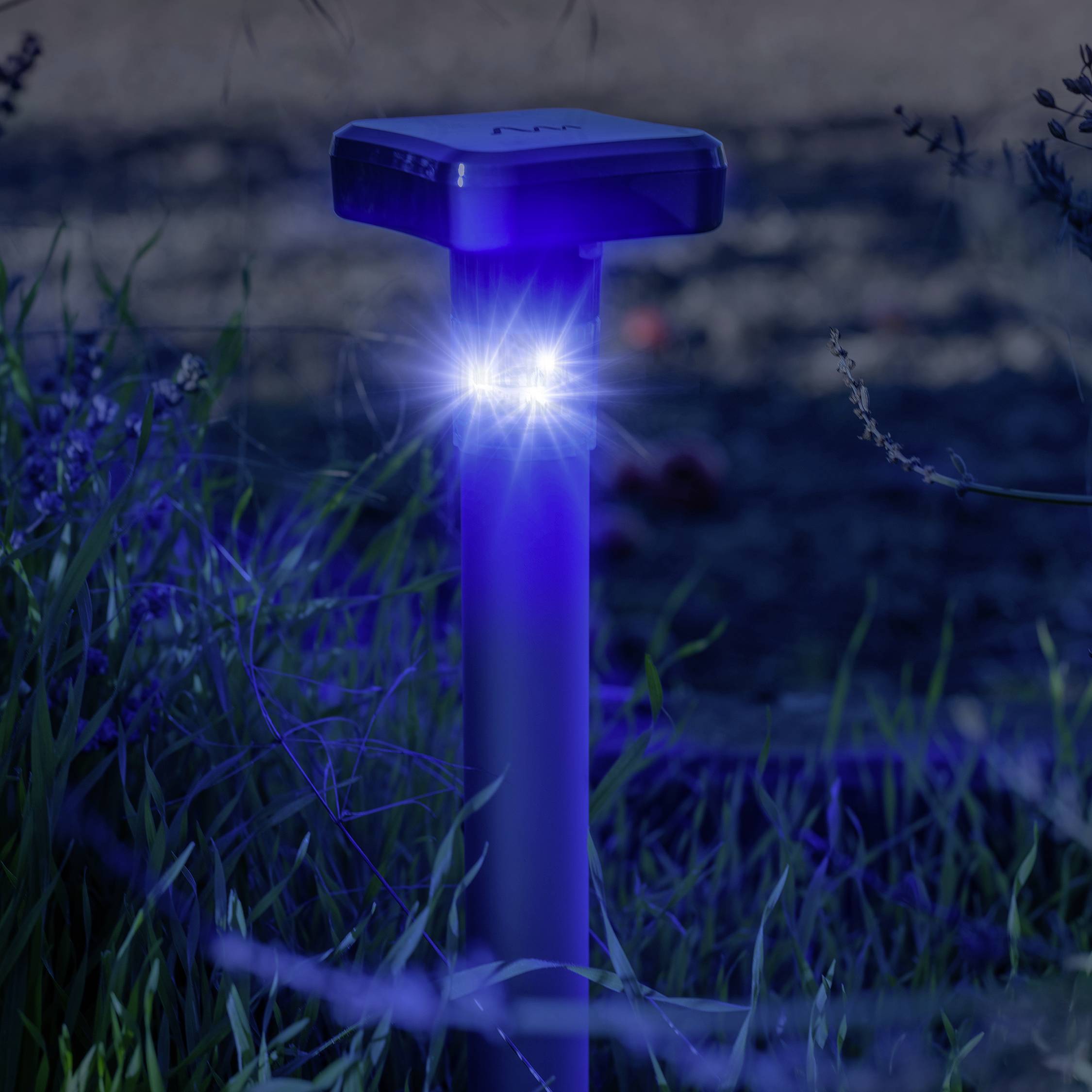 Ein pfostenförmiges Licht leuchtet hell in der Dämmerung, umgeben von Gras. Es wirkt futuristisch und dient zur Wegbeleuchtung.