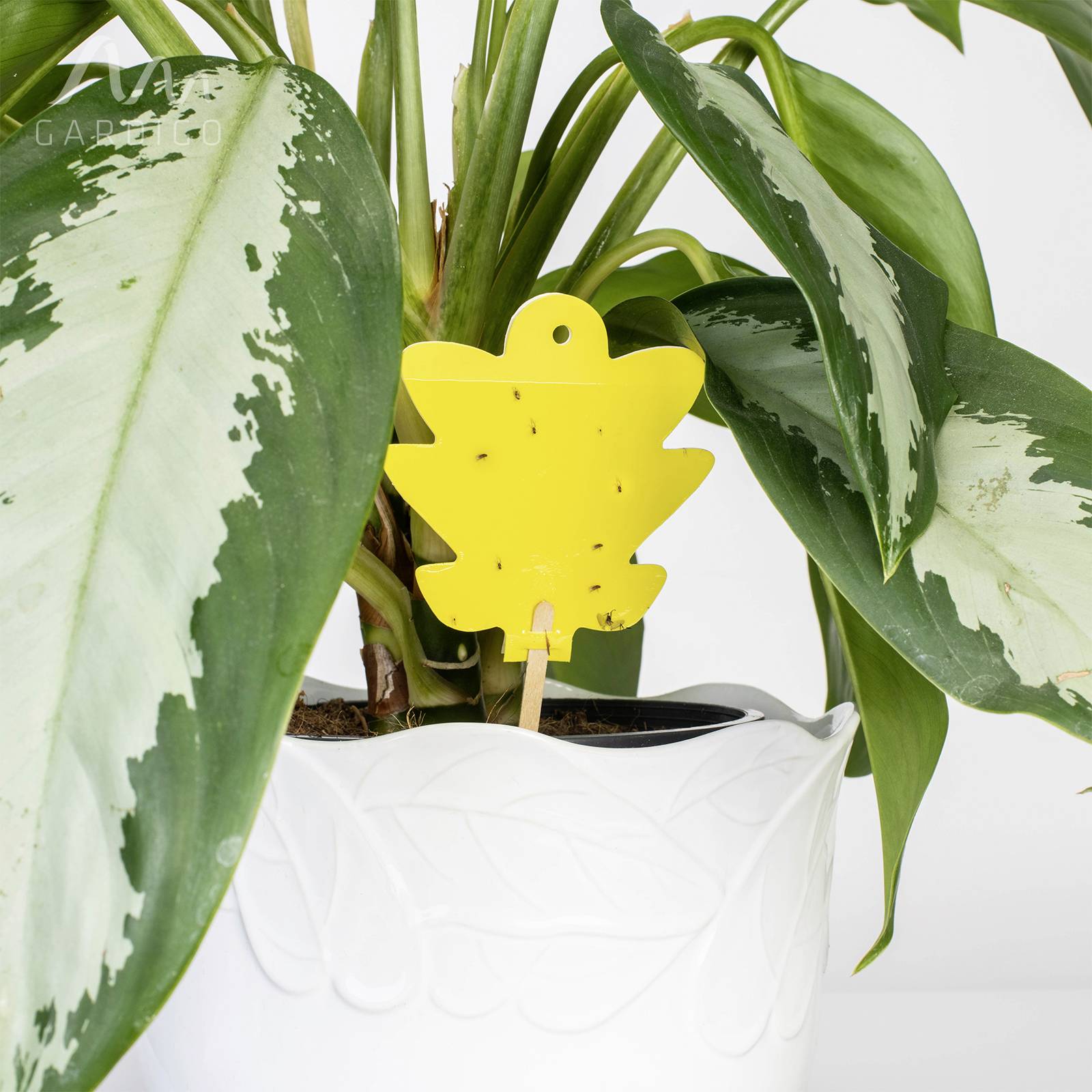 Gardigo 668005 Insekten-Klebetafel Klebefolie (B x H) 8.3cm x 21.5cm Gelb 5St.