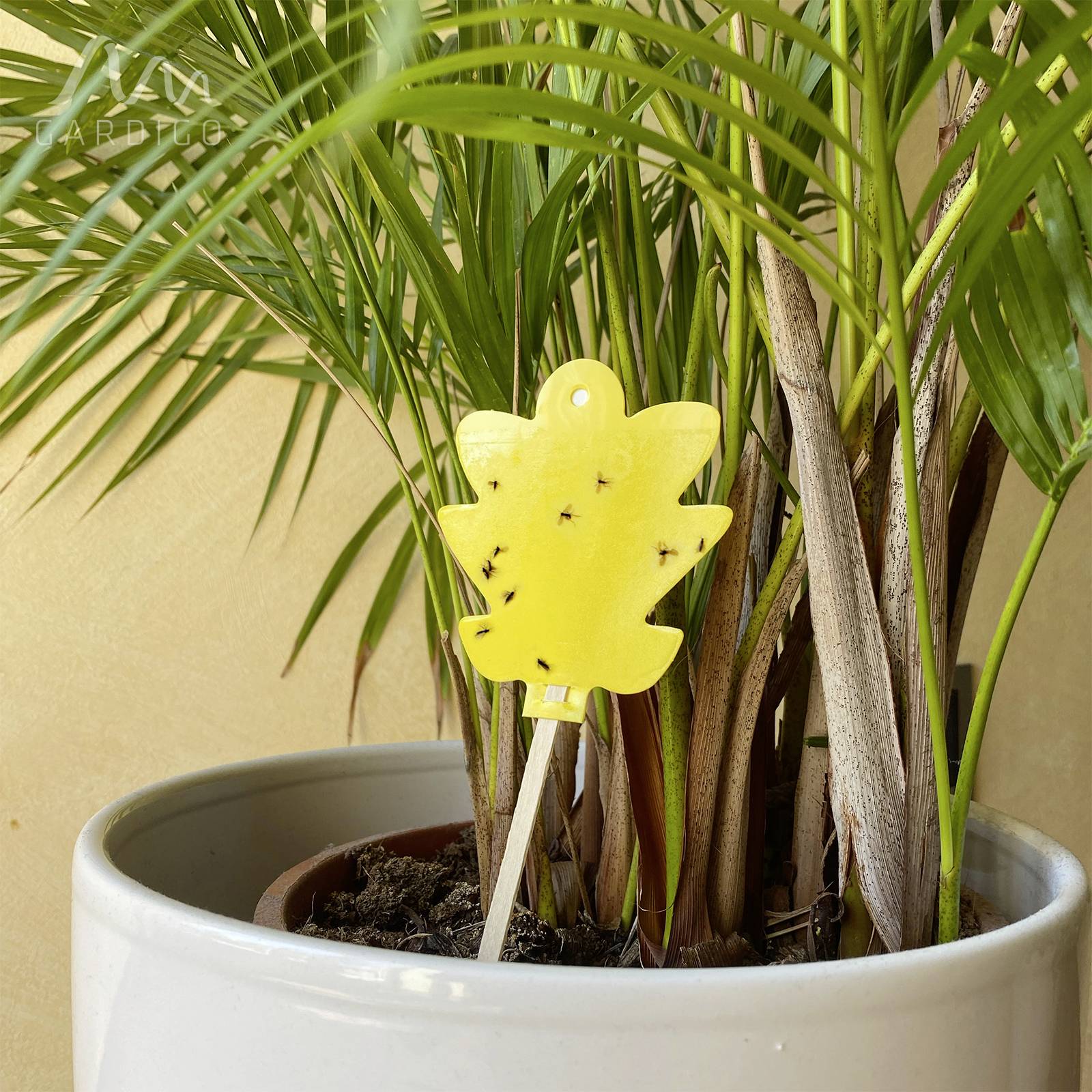 Gardigo 668005 Insekten-Klebetafel Klebefolie (B x H) 8.3cm x 21.5cm Gelb 5St.