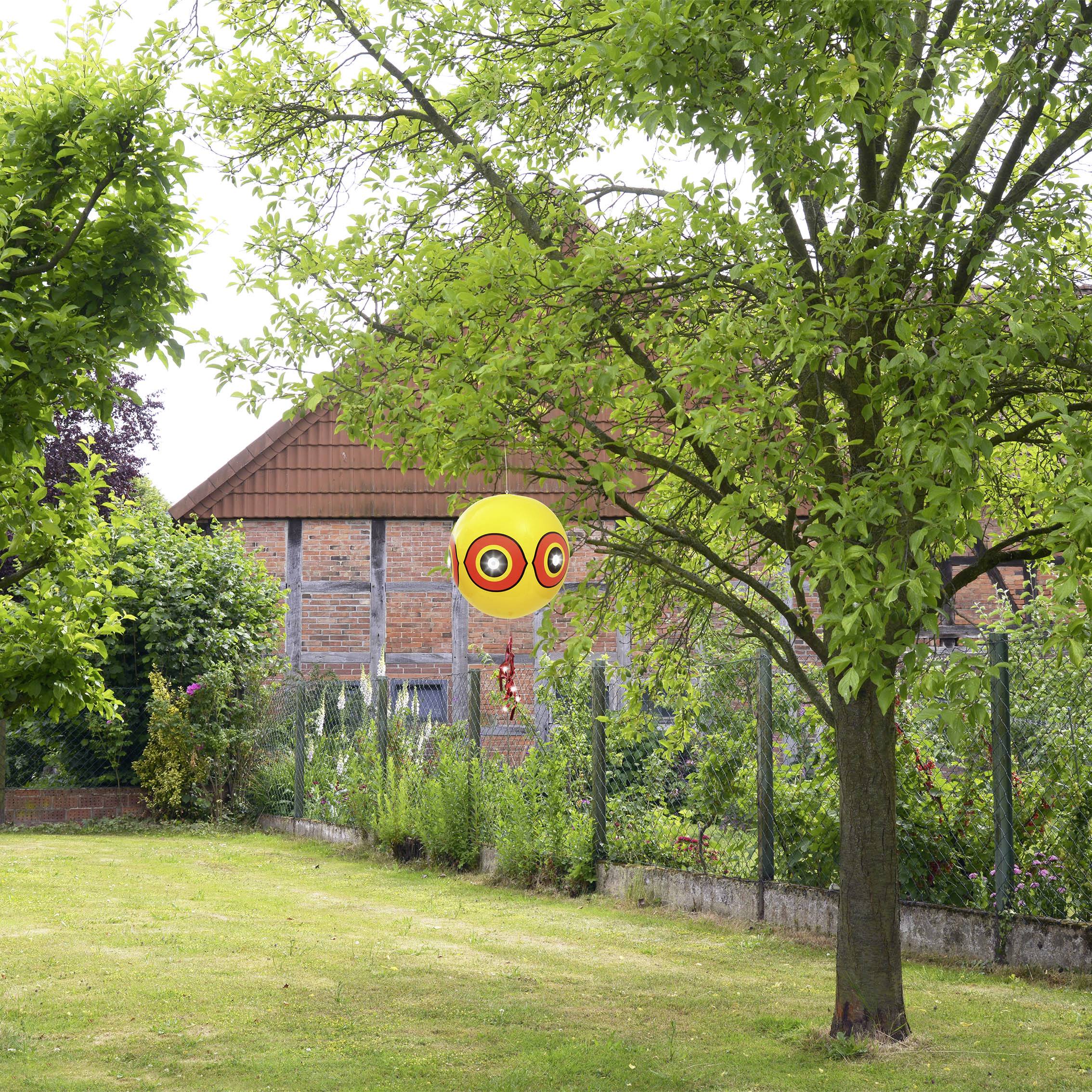 Gelber Ballon mit Augenmotiv hängt im Garten an einem Baum, umgeben von grünem Laub und einem Ziegelhaus im Hintergrund.