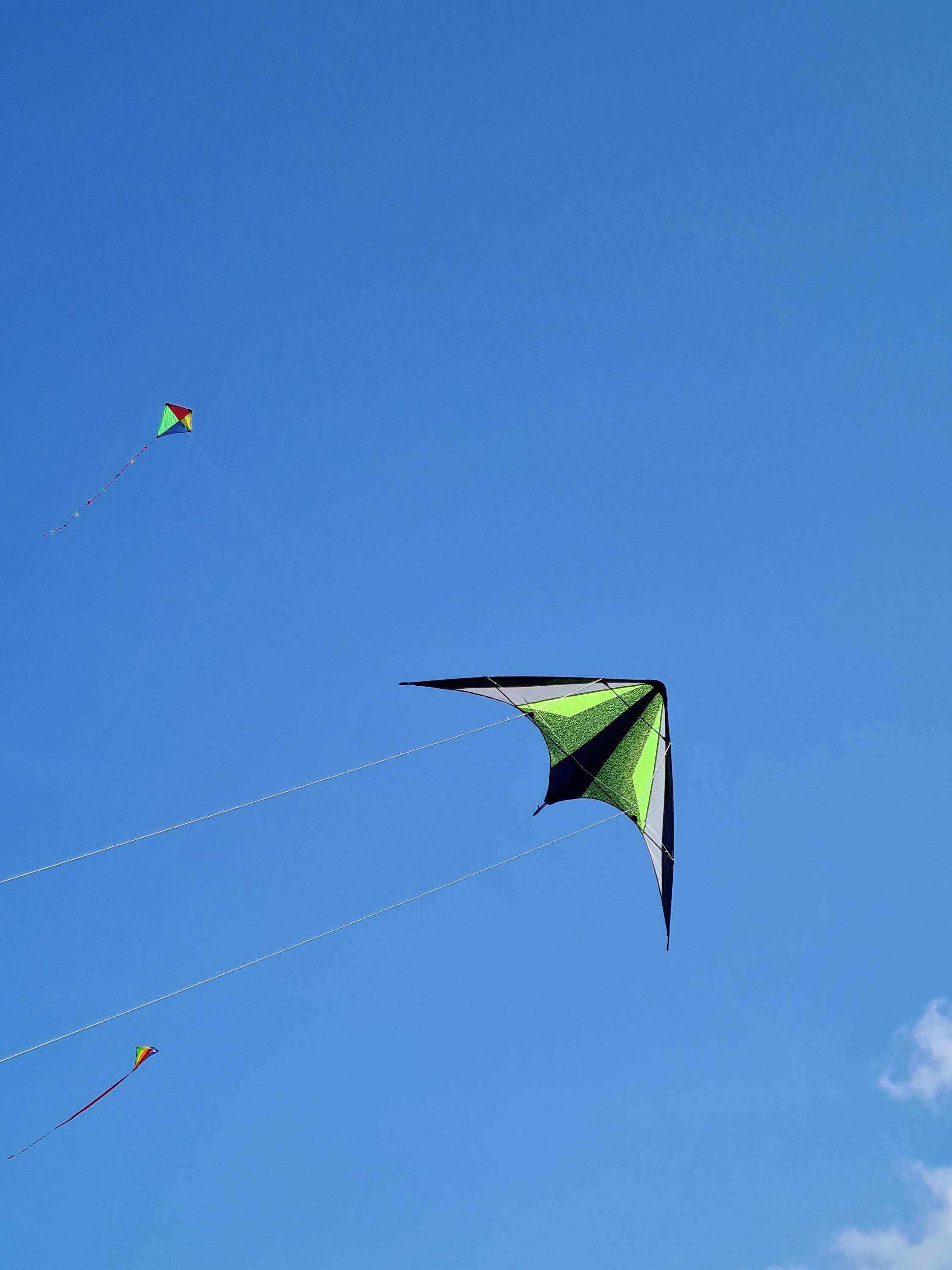 Günther Flugspiele Zweileiner Sport-Lenkdrachen Neon Loop 160 Spannweite (Details) 1600mm