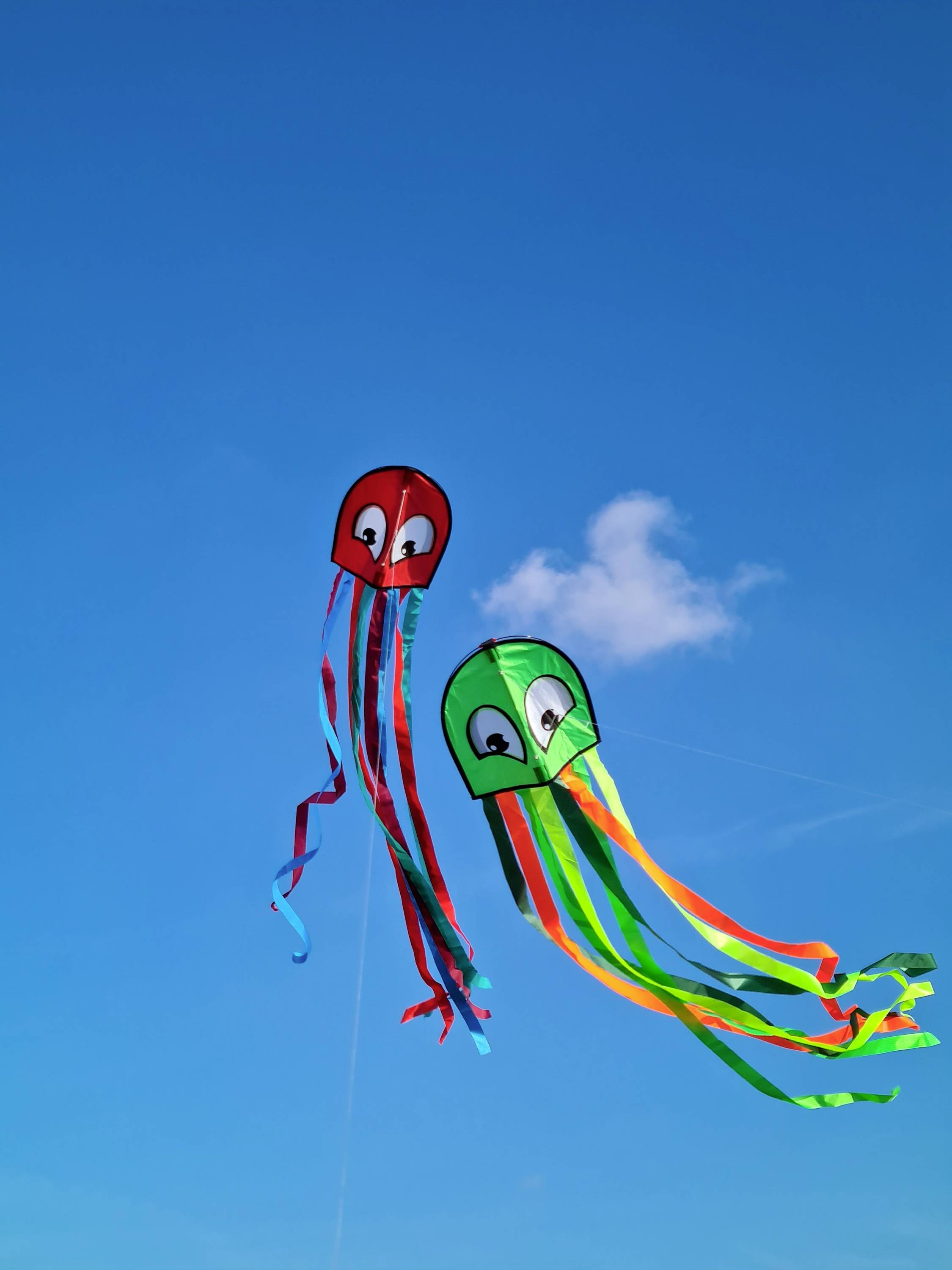 Günther Flugspiele Einleiner Drachen Octopus Spannweite (Details) 330mm