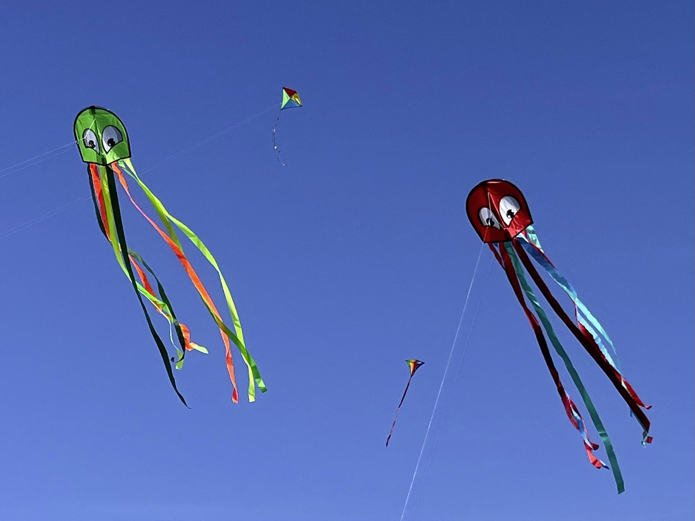 Günther Flugspiele Einleiner Drachen Octopus Spannweite (Details) 330mm