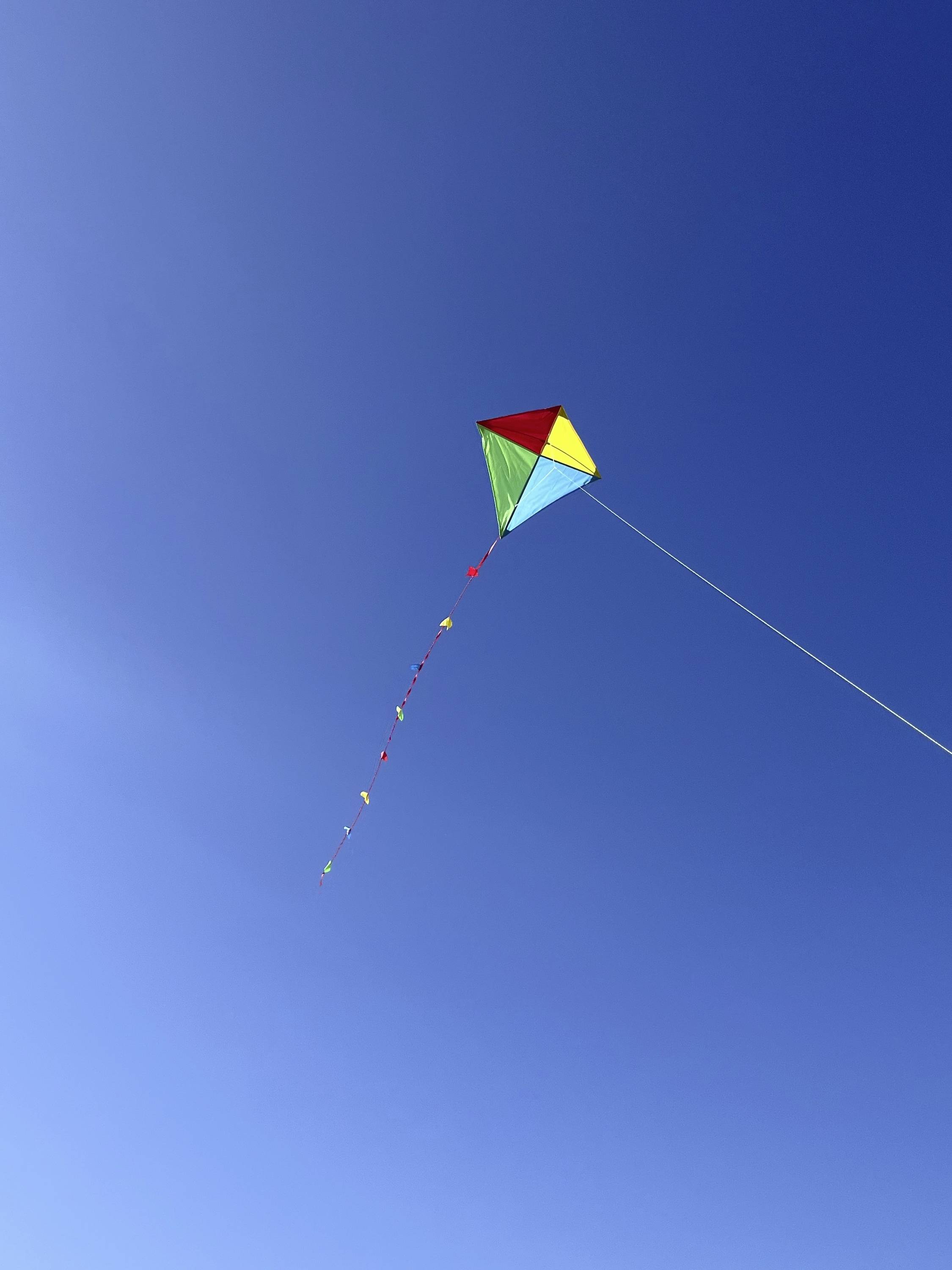 Günther Flugspiele Einleiner Drachen Quadro Spannweite (Details) 700 mm