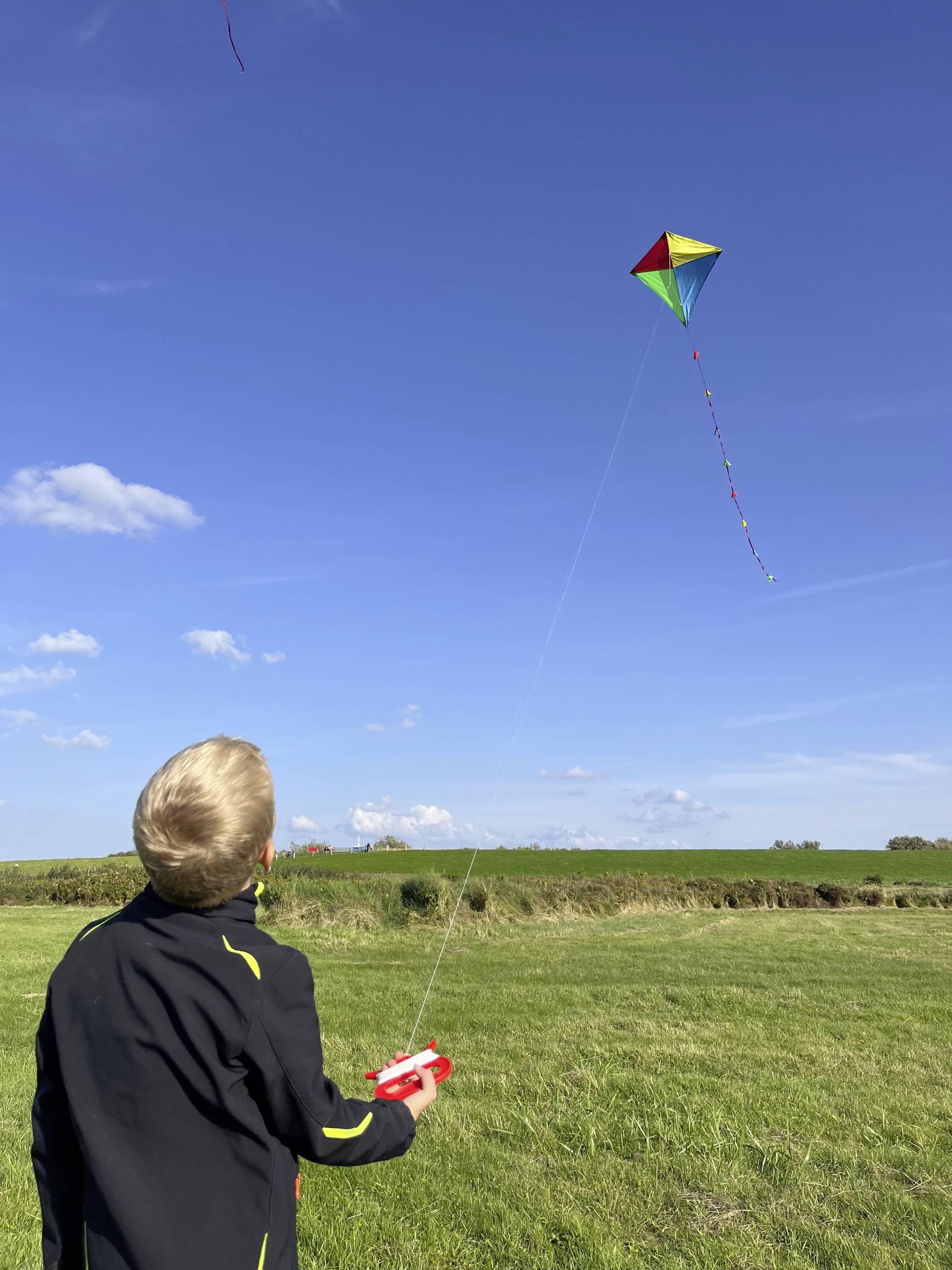 Günther Flugspiele Einleiner Drachen Quadro Spannweite (Details) 700mm