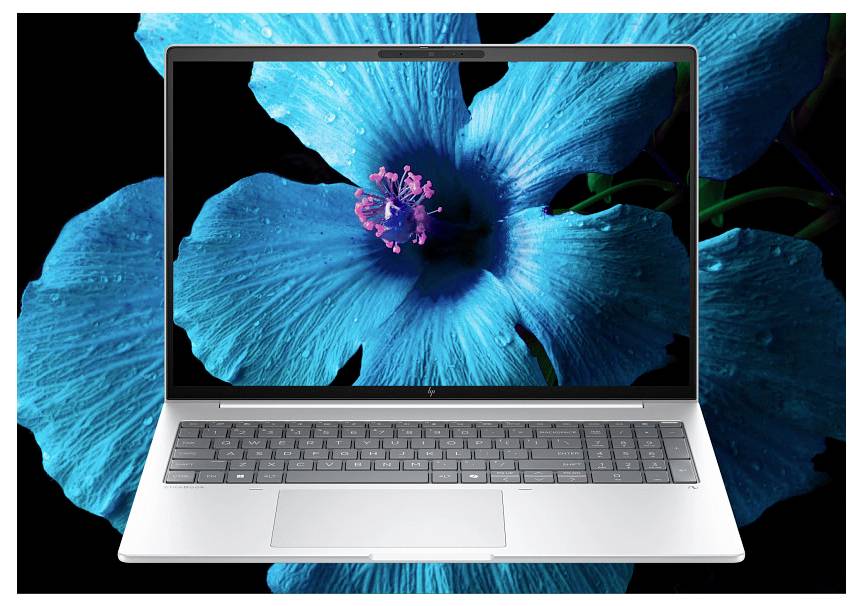 HP Notebook EliteBook 8 G1a 35.6cm (14 Zoll) WQXGA AMD Ryzen AI 5 340 32GB RAM 512GB SSD Deutsch, QWERTZ Silber AD3F8ET