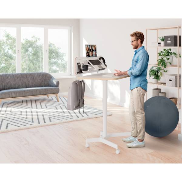 Ein Mann steht an einem höhenverstellbaren Schreibtisch, arbeitend an einem Laptop. Im Raum sind ein Sofa, ein Gymnastikball und Pflanzen zu sehen.