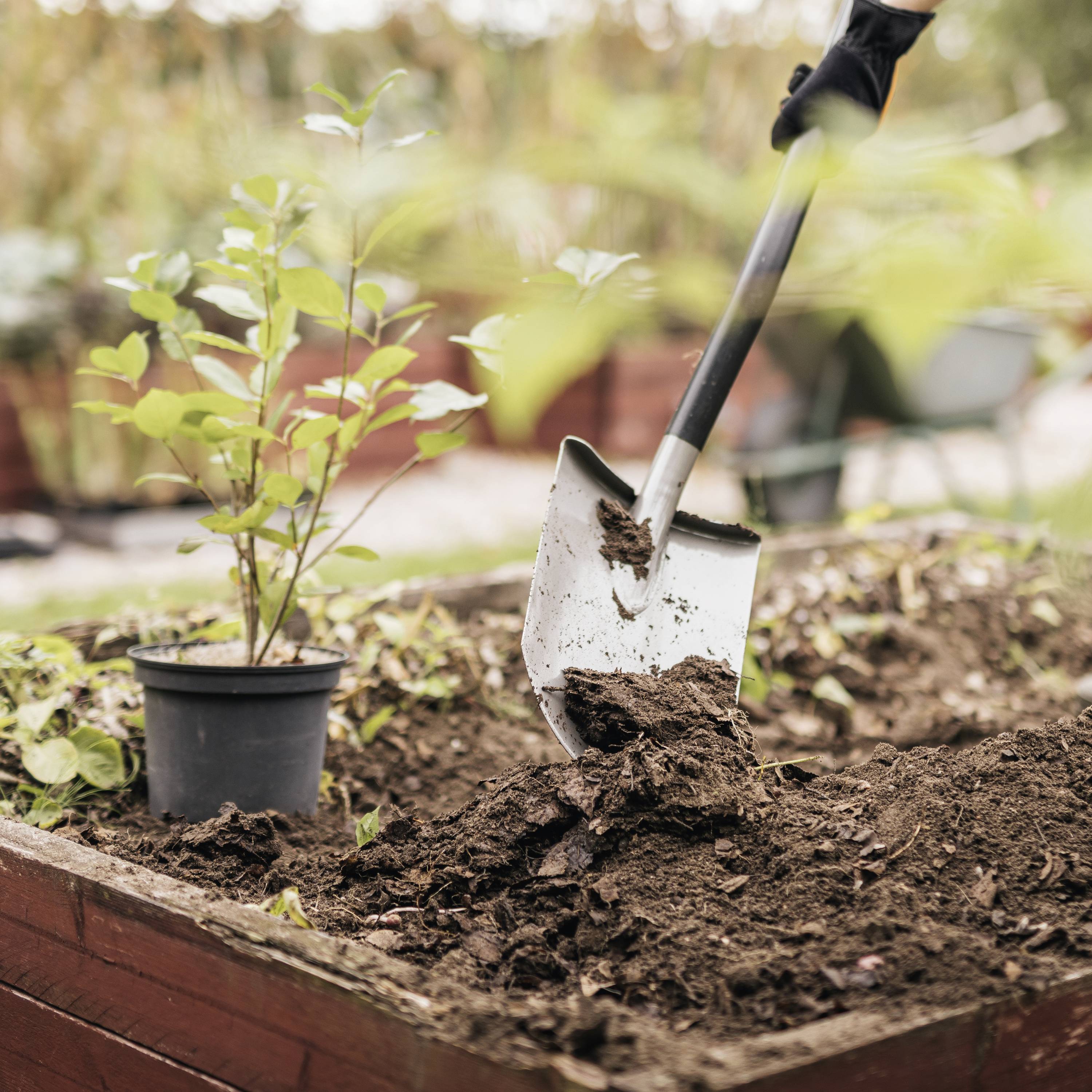 Fiskars 1066708 Spaten Arbeitsbreite 193mm D-Griff