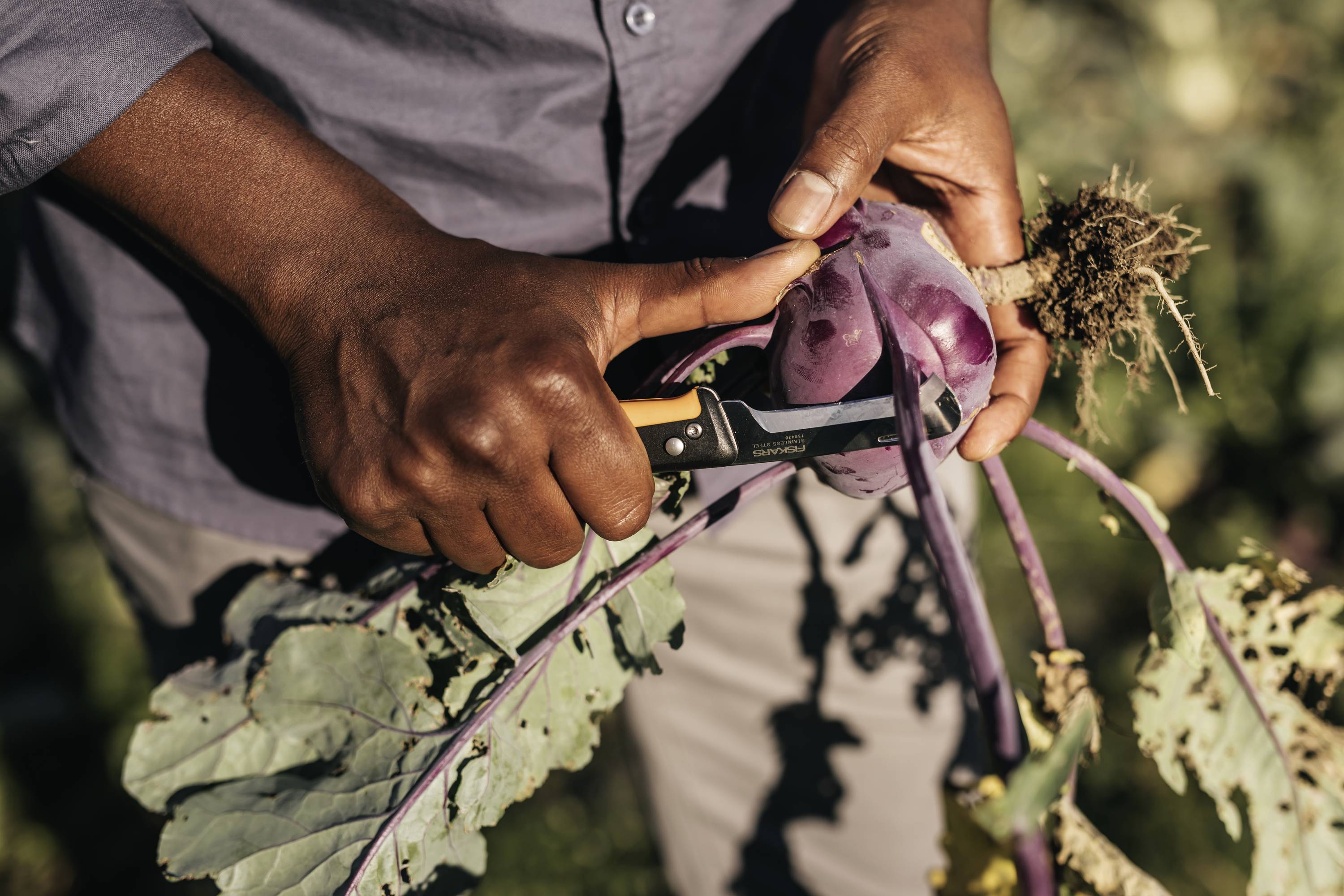 Fiskars 1062819 Gartenmesser