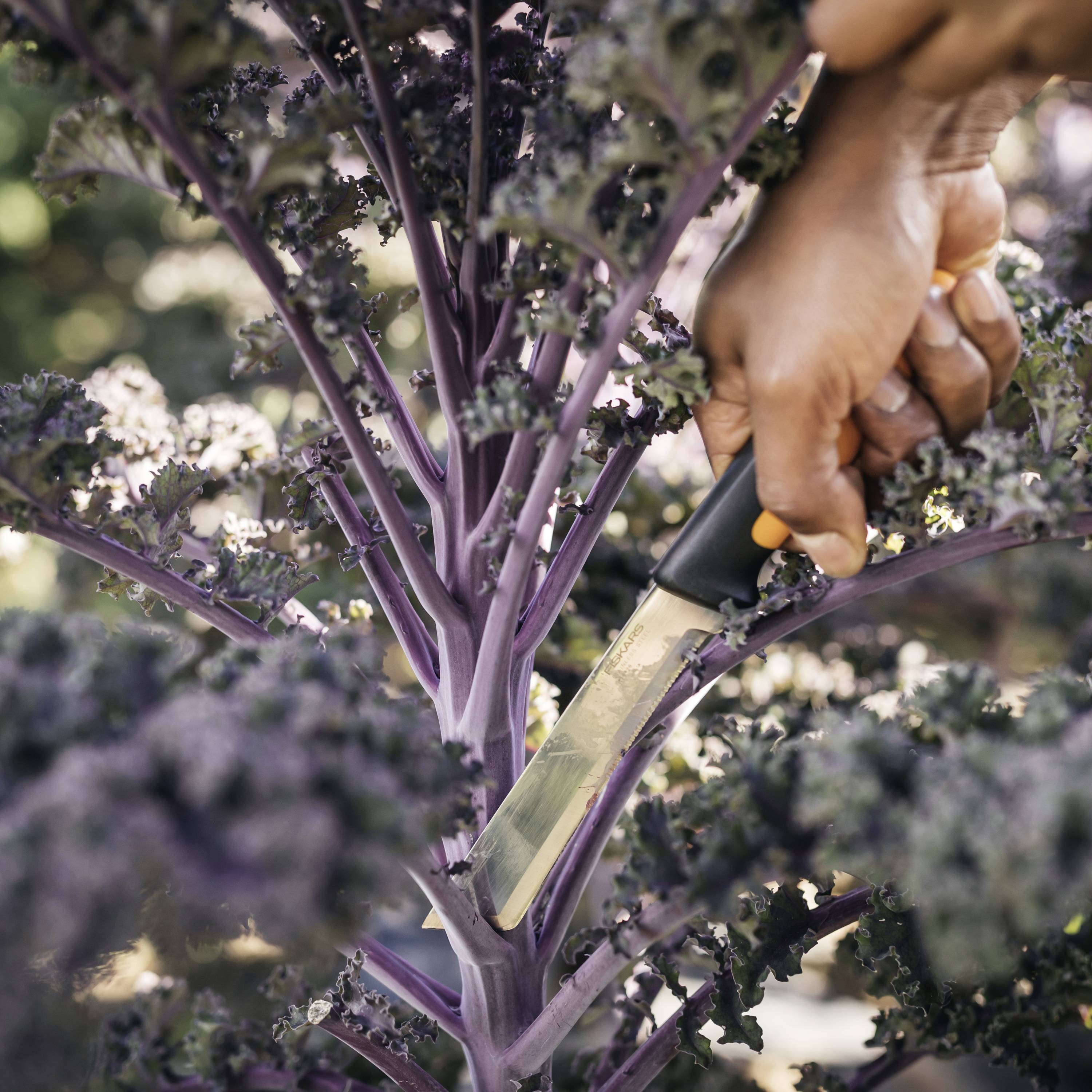 Fiskars 1062830 Gartenmesser