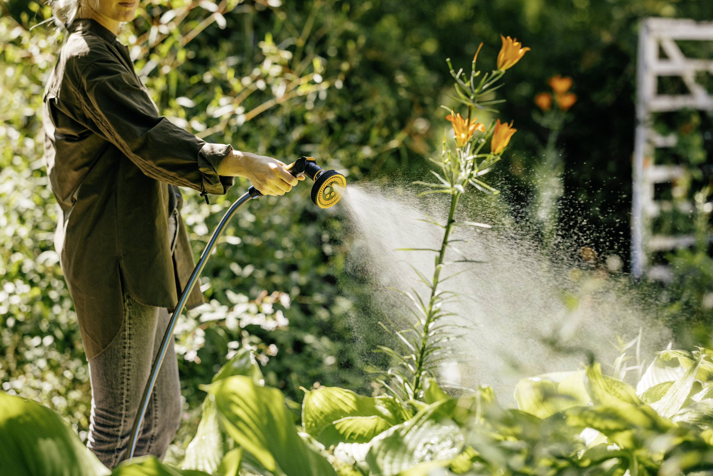 Eine Person gießt mit einem Gartenschlauch eine große Pflanze mit orangefarbenen Blüten im grünen Garten.