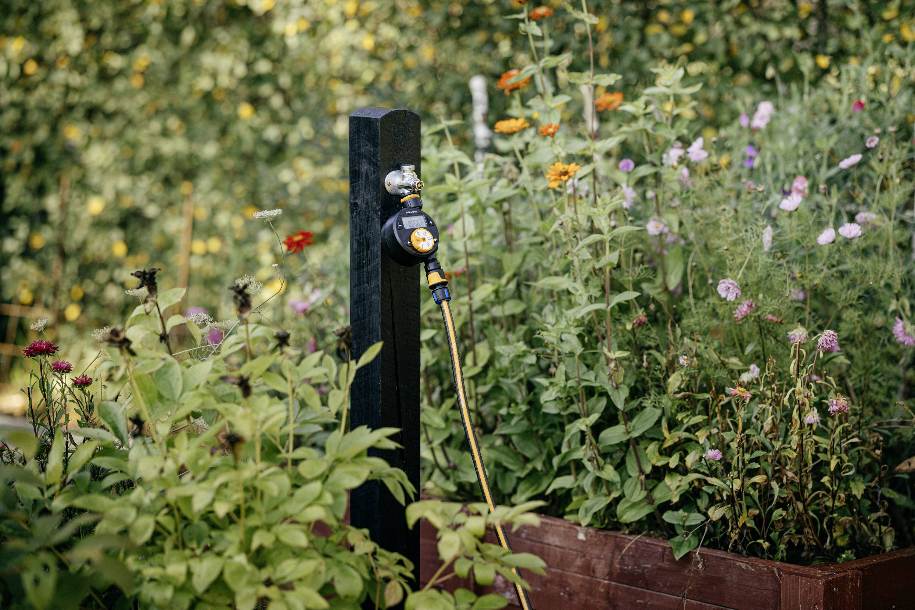 Ein Wasserhahn mit Zeitschaltuhr bewässert ein Hochbeet mit diversen blühenden Pflanzen und üppigem Grün im Garten.