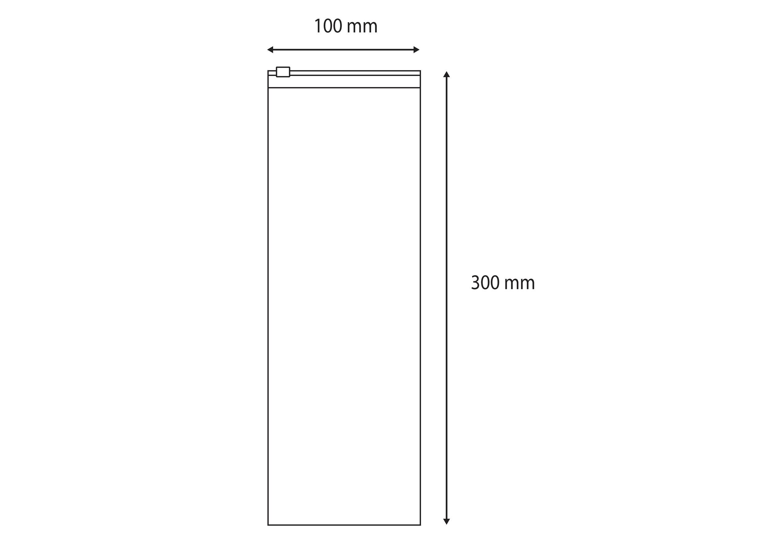 Eine technische Zeichnung eines rechteckigen Objekts mit beschrifteten Abmessungen: 100 mm Breite und 300 mm Höhe, dargestellt mit Pfeilen zur Kennzeichnung der Maße.
