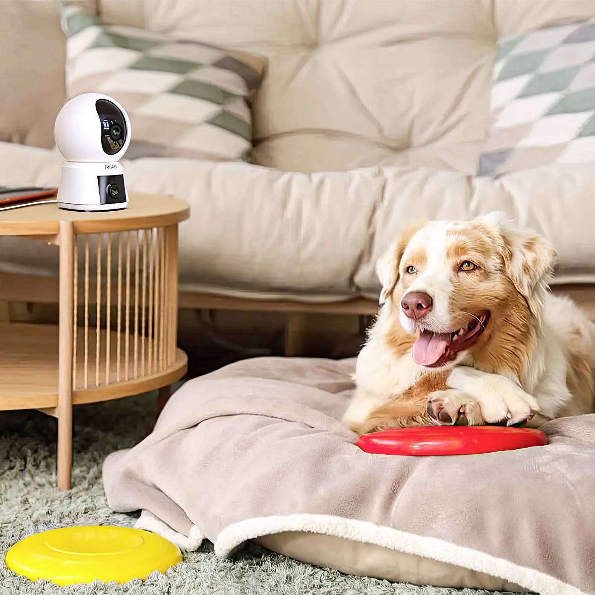 Arenti P3TT WLAN IP Überwachungskamera 2304 x 1296 Pixel