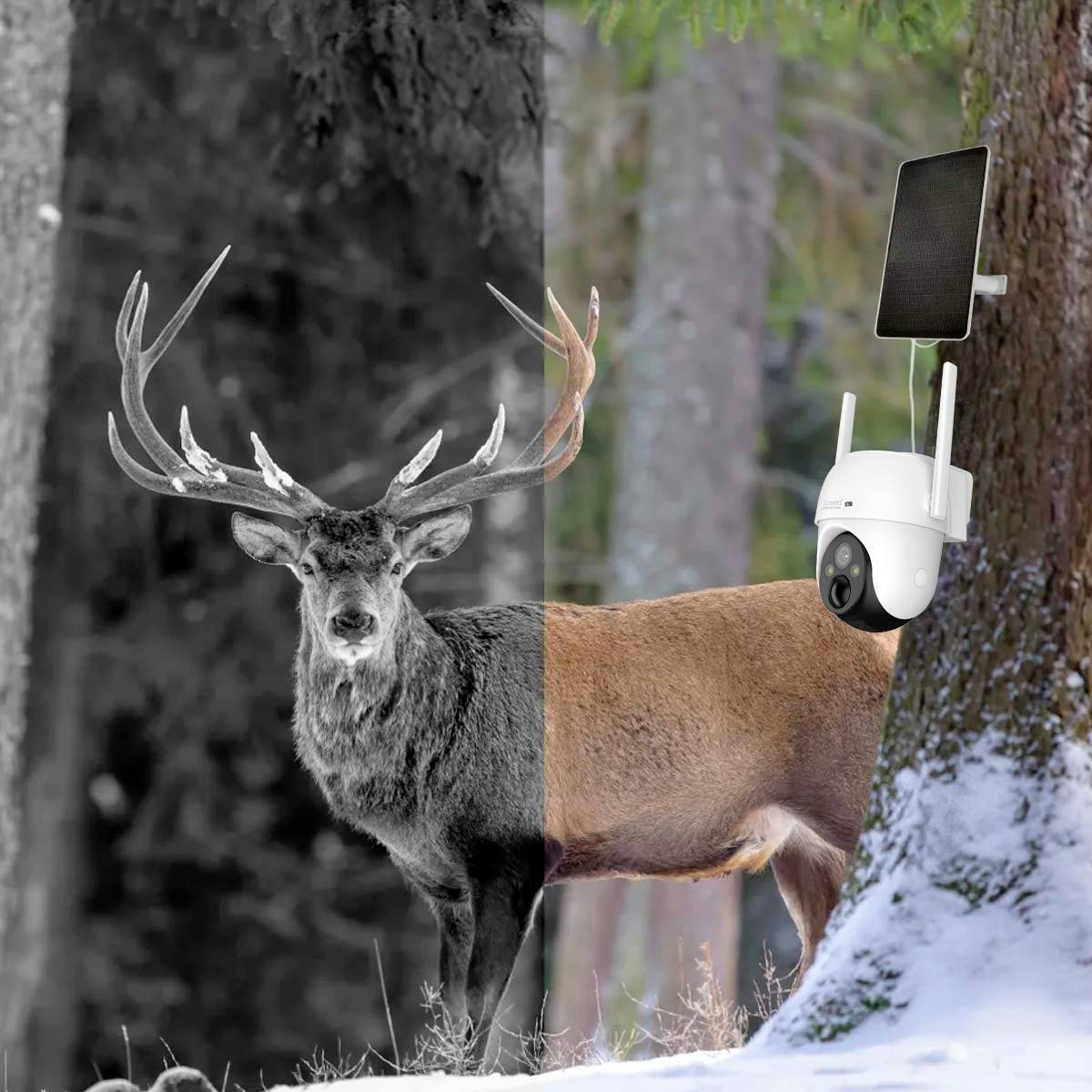 Arenti GO3G Kit3 IP Überwachungskamera 2304 x 1296 Pixel