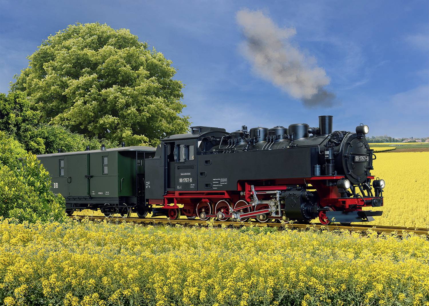Eine schwarze Dampflokomotive zieht einen grünen Waggon durch ein blühendes gelbes Rapsfeld, mit einem großen Baum im Hintergrund.
