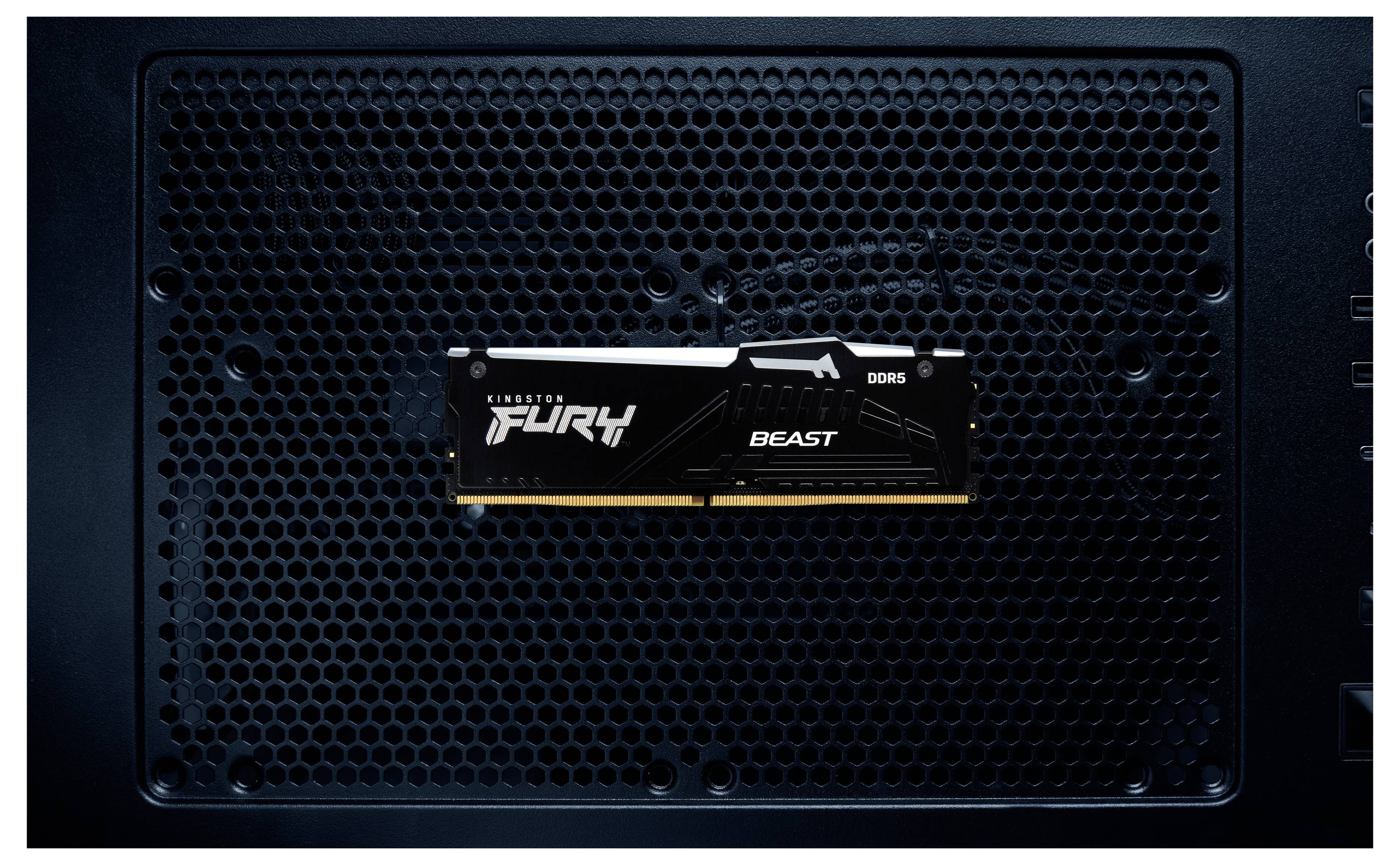 Kingston KF556C36BBE2A Desktop-Arbeitsspeicher DDR5 32 GB 1 x 32 GB 288pin DIMM CL36 KF556C36BBE2A-32