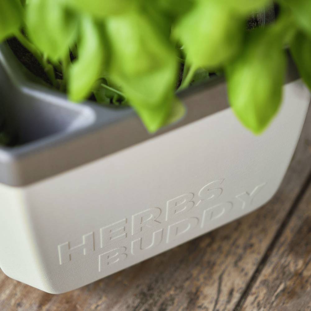 Ein grüner Kräutertopf steht auf einem Holztisch. Auf dem Topf steht 'HERBS BUDDY'.