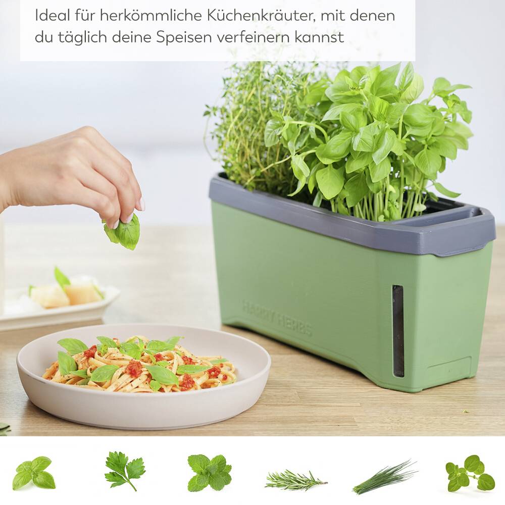 Pflanzenbehälter mit frischen Kräutern neben einem Teller mit Pasta. Eine Hand pflückt Kräuter. Text: 'Ideal für Küchenkräuter'.
