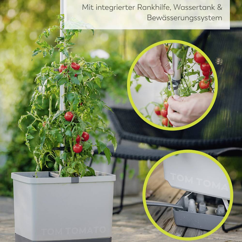 Pflanzbehälter mit Tomatenpflanze, integrierte Rankhilfe, Wassertank und Bewässerungssystem. Hände ernten eine Tomate.