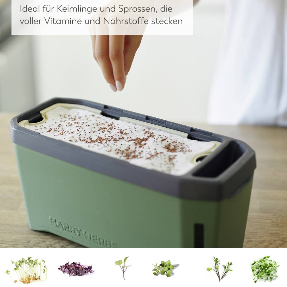 Eine Hand streut Samen auf Erde in einem grünen Anzuchtkasten. Text oben: 'Ideal für Keimlinge und Sprossen, die voller Vitamine und Nährstoffe stecken.'