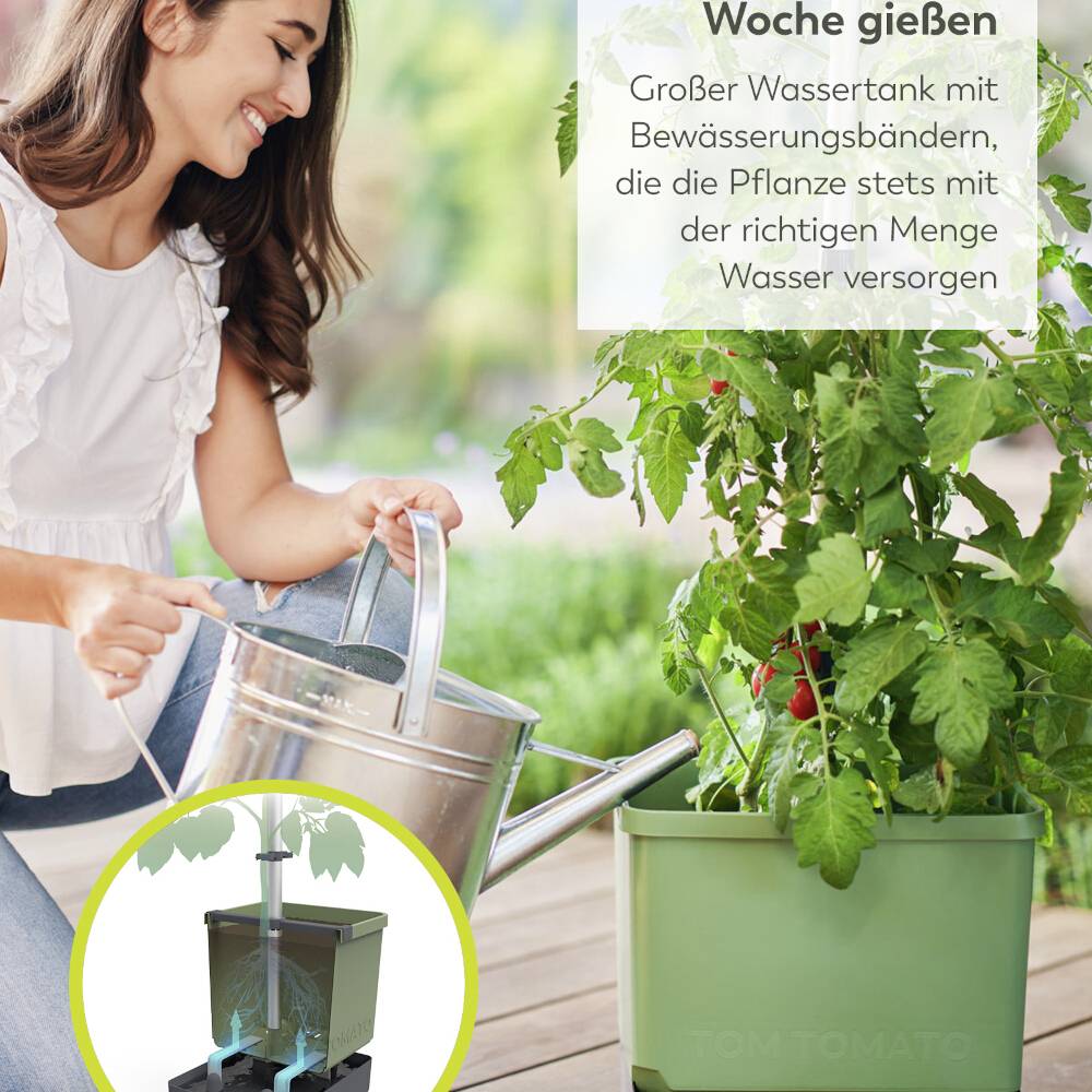 Eine Frau gießt Pflanzen in einem Topf mit Wasser. Ein Diagramm zeigt einen Wassertank mit Bewässerungssystem für Tomatenpflanzen. Text erklärt die Bewässerungsmethode.