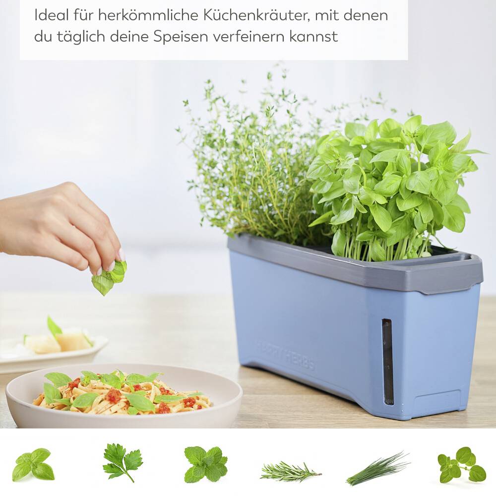 Eine Hand pflückt Kräuter aus einem Kräuterkasten, daneben ein Teller mit Essen. Text: 'Ideal für herkömmliche Küchenkräuter'.