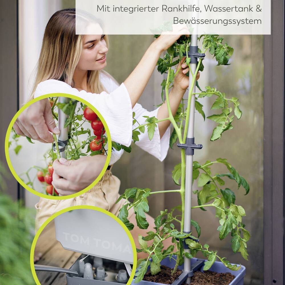 Frau erntet Tomaten von einer Tomatenpflanze an einem vertikalen Bewässerungssystem. Text oben: 'Mit integrierter Rankhilfe, Wassertank & Bewässerungssystem'.