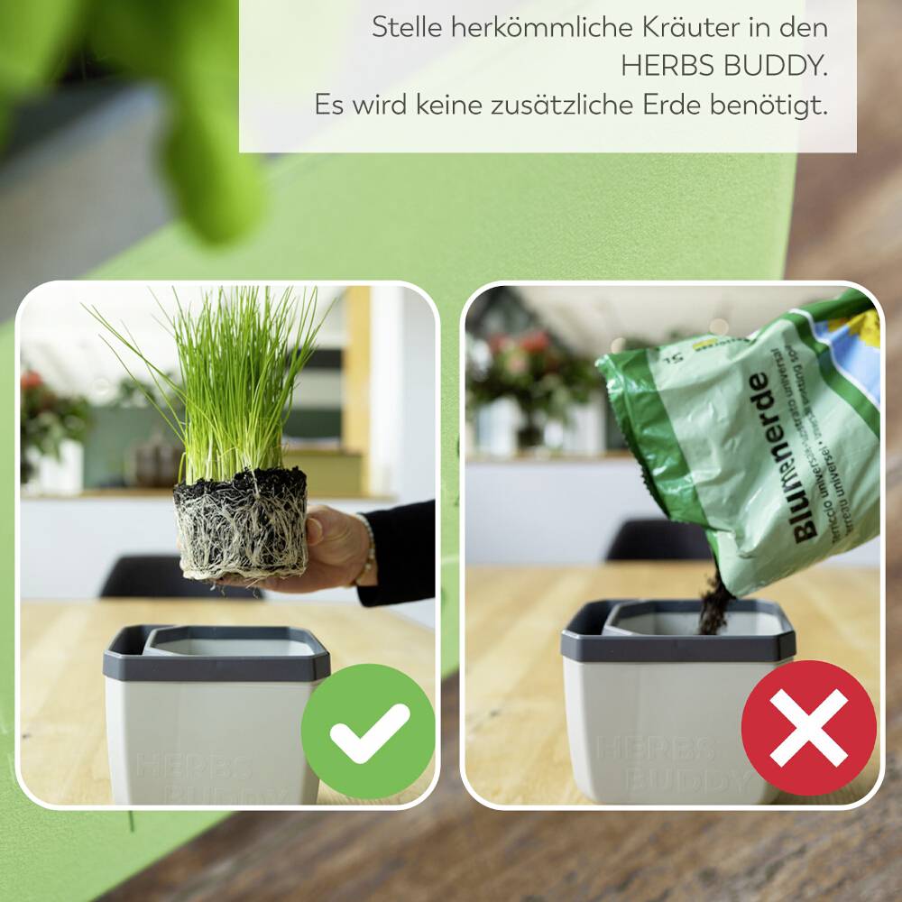 Hand streut Samen auf eine automatische Keimstation zur Anzucht von Keimlingen und Sprossen. Text oben: 'Ideal für Keimlinge und Sprossen, die voller Vitamine und Nährstoffe stecken'.