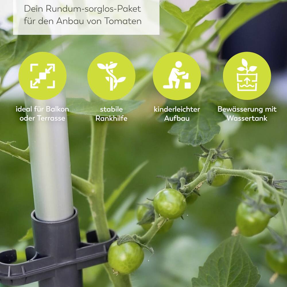 Anzuchtpaket für Tomaten mit piktographischen Symbolen: geeignet für Balkon/Terrasse, stabile Rankhilfe, einfacher Aufbau, Bewässerungssystem.