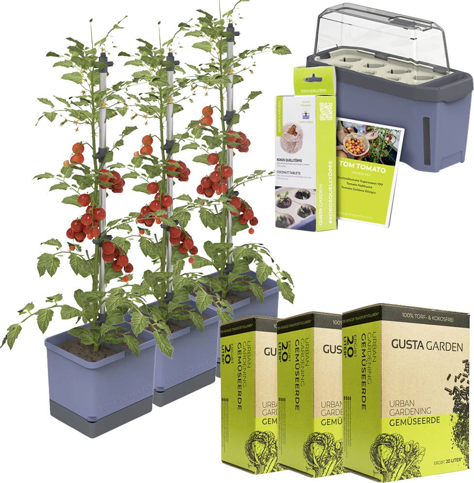 Das Bild zeigt ein Tomaten-Anzuchtsystem mit drei blühenden Tomatenpflanzen in blauen Behältern, dazu Anzuchtzubehör und Erde.