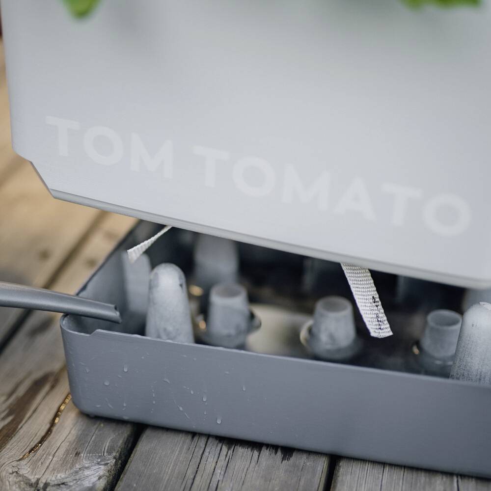 Ein grauer Pflanzenzüchter namens 'Tom Tomato', mit grünen Keimlingen, steht auf einem Holztisch. Ein Bewässerungsschlauch ist angeschlossen.