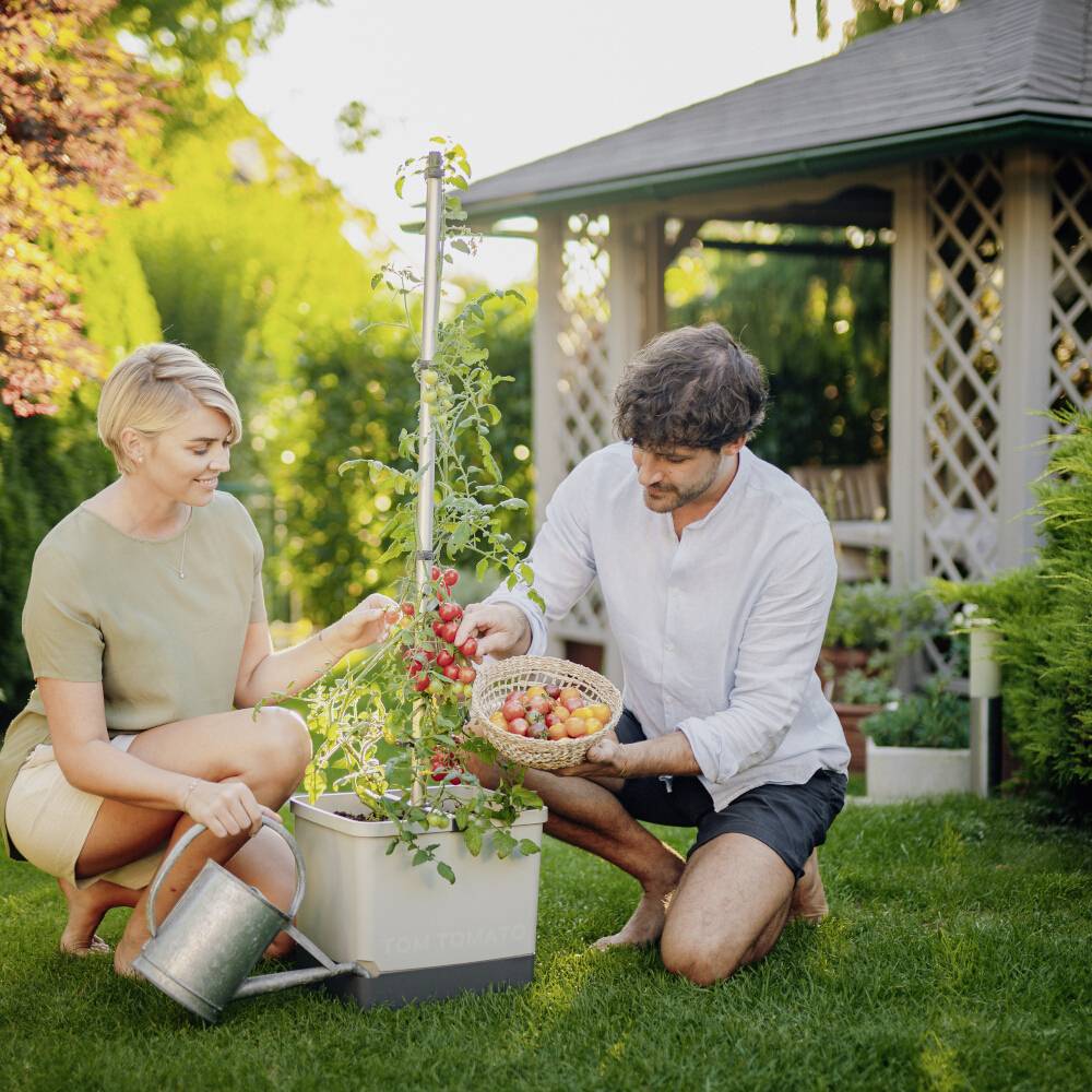 Eine Frau gießt Pflanzen, während ein Mann daneben kniet und eine Schüssel mit frisch geernteten Tomaten hält. Im Hintergrund ein Pavillon.