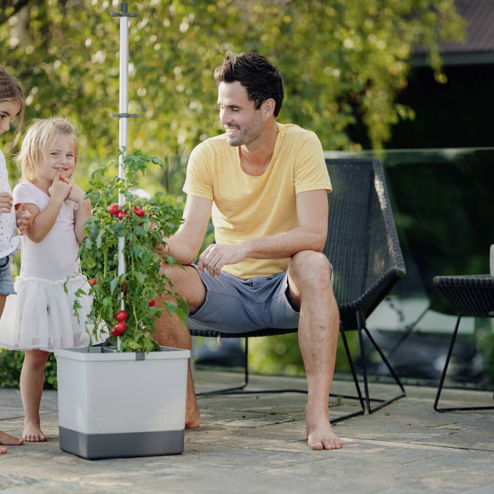 Ein Mann und zwei Kinder betrachten eine wachsende Tomatenpflanze auf einer Terrasse. Der Mann zeigt auf die Pflanze.