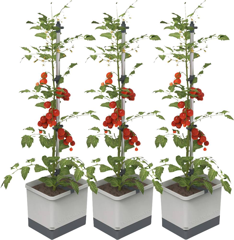 Gusta Garden TOM TOMATO 3er-Set, hellgrau / W07073Pflanzgefäß