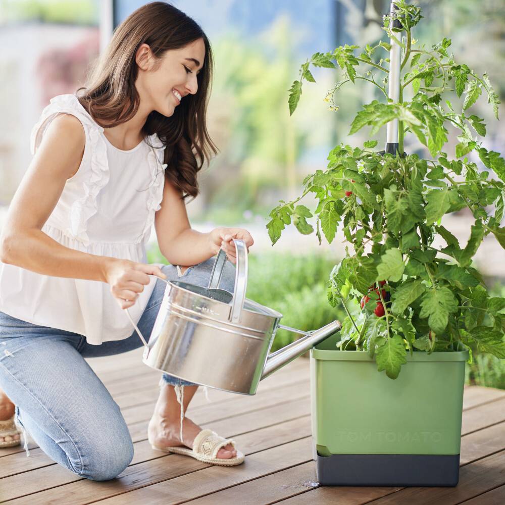 Eine Frau gießt mit einer Gießkanne eine Tomatenpflanze in einem Topf auf einer Terrasse. Im Hintergrund sieht man Pflanzen und ein Fenster.