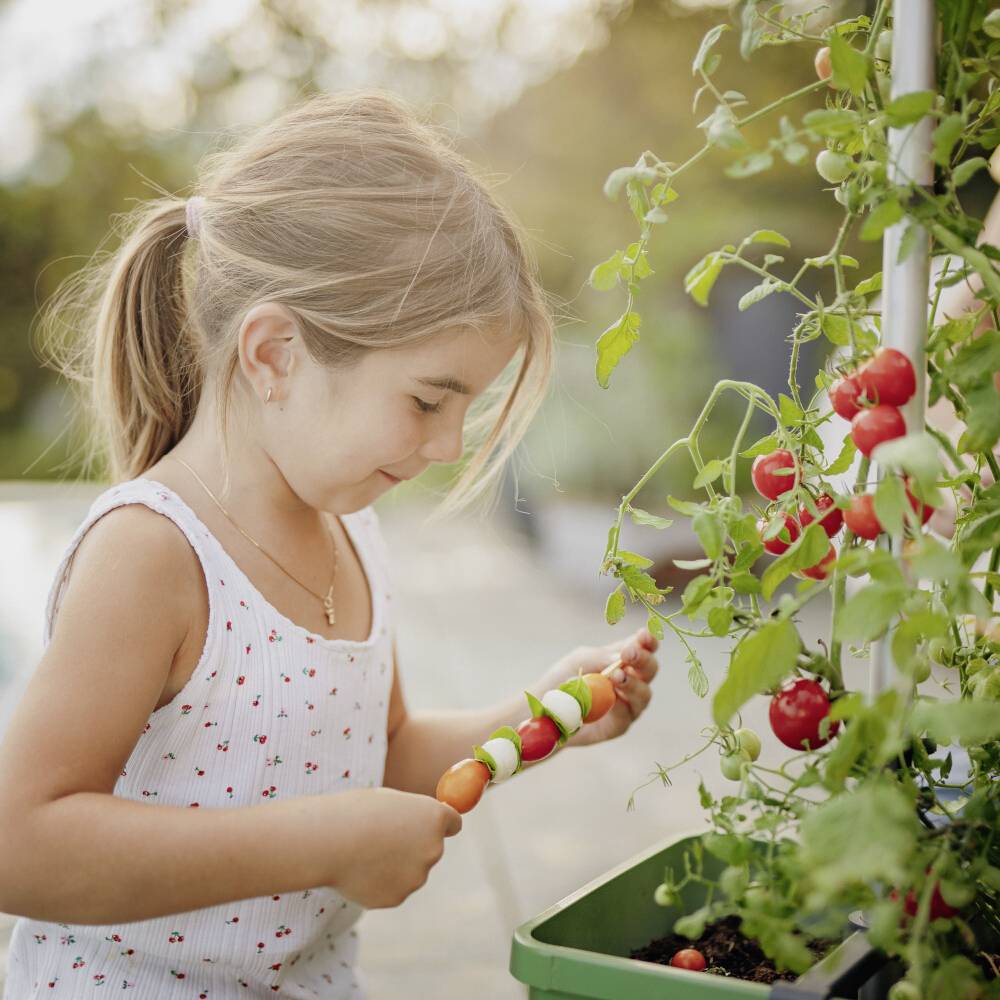 Ein kleines Mädchen pflückt Tomaten von einer Pflanze. Sie hält bunte Holzperlen in der anderen Hand. Im Hintergrund ist ein Garten.