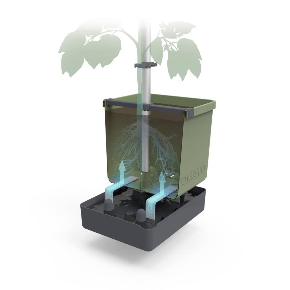 Ein Topf mit einer Pflanze, zeigt einen Selbstbewässerungsmechanismus. Wasser steigt von unten nach oben durch ein Rohr zu den Wurzeln.