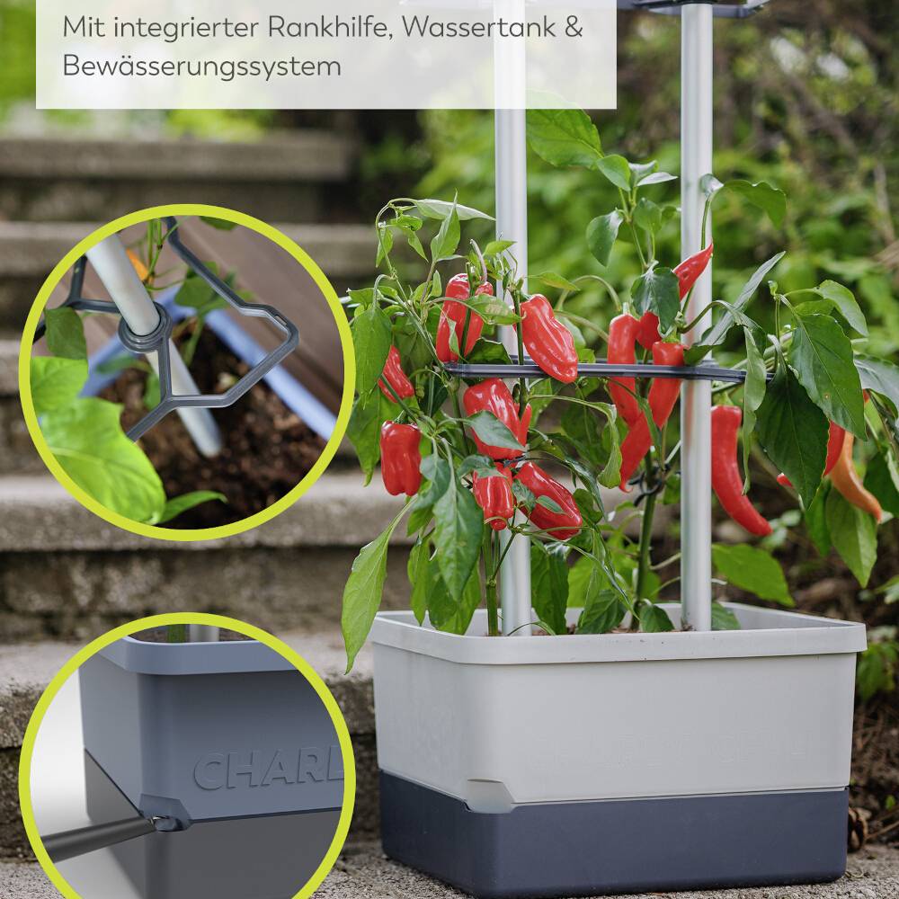 Pflanzbehälter mit Tomatenpflanze, integrierte Rankhilfe, Wassertank und Bewässerungssystem, Text: 'Mit integrierter Rankhilfe, Wassertank & Bewässerungssystem'.