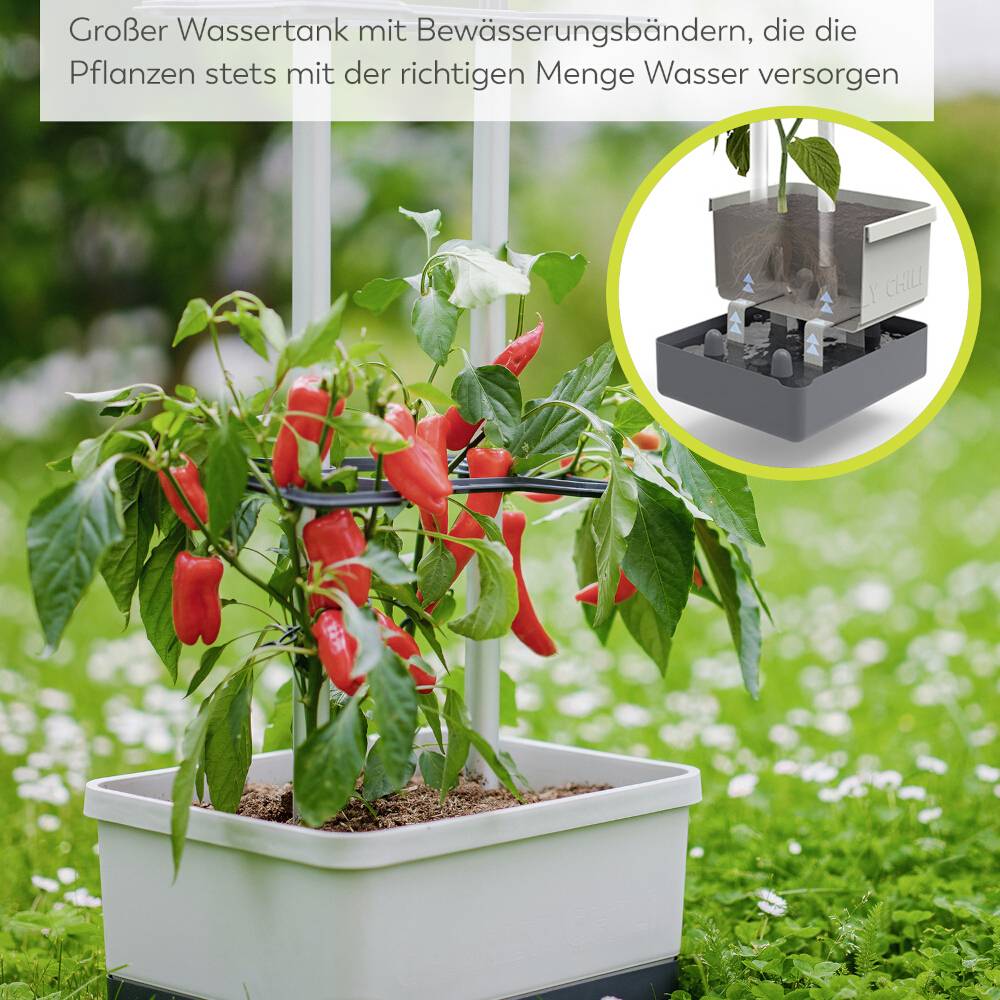 Pflanzen im Topf mit Bewässerungssystem. Text oben: 'Großer Wassertank mit Bewässerungsbändern, die die Pflanzen stets mit der richtigen Menge Wasser versorgen.'